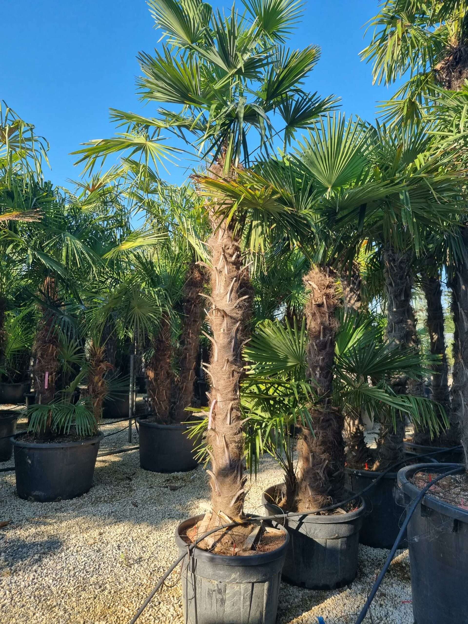 1692687122 scaled 6359a049