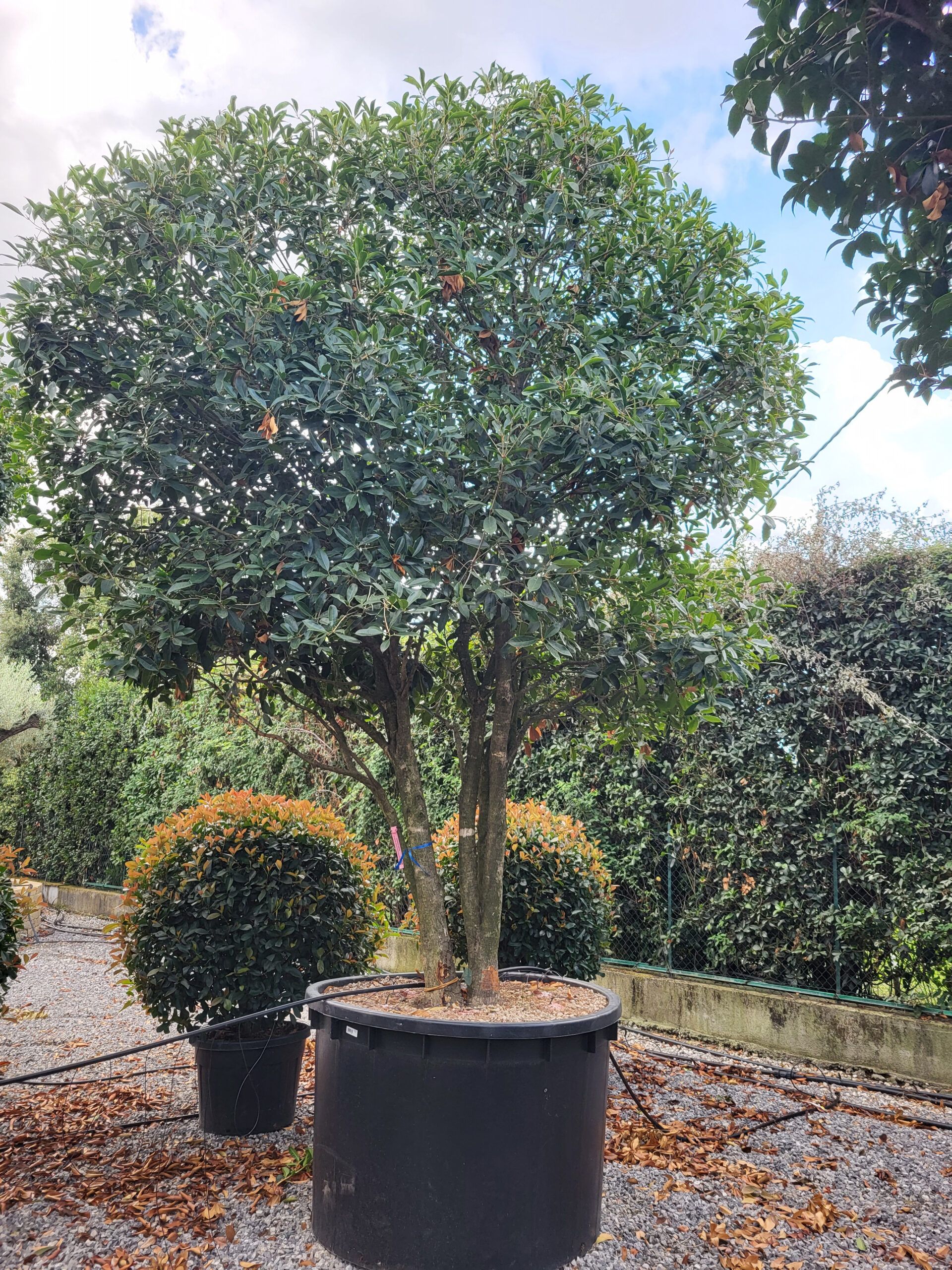 1694788740 scaled 63612327