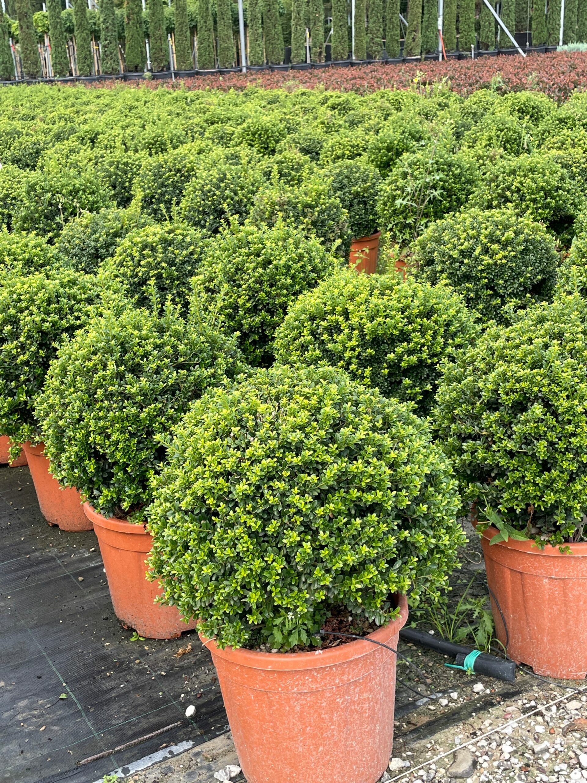 1631959518 scaled 644a6612