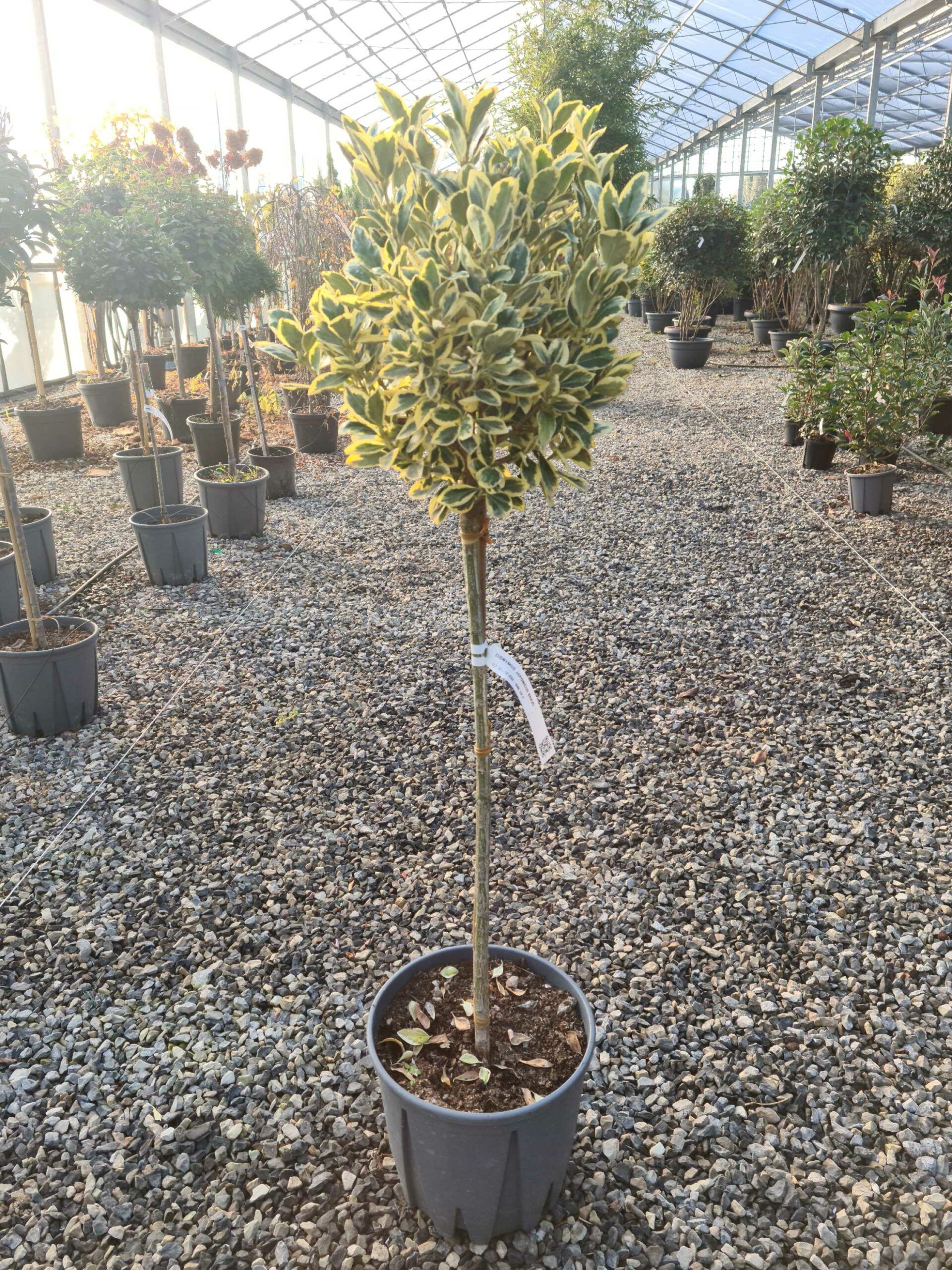 1639472461 scaled 644412a1