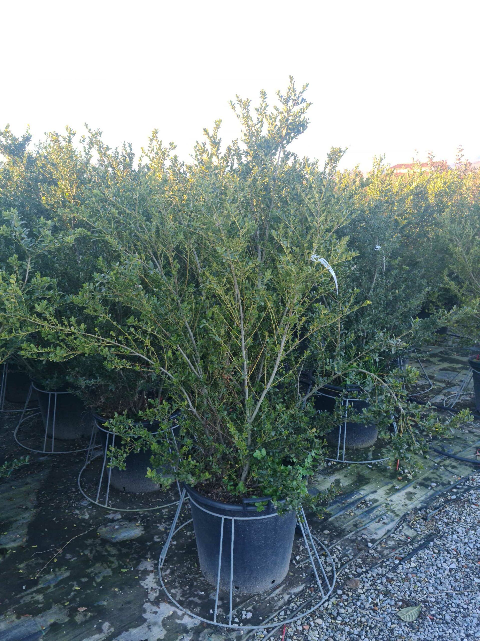 1639665904 scaled 64fc05e5