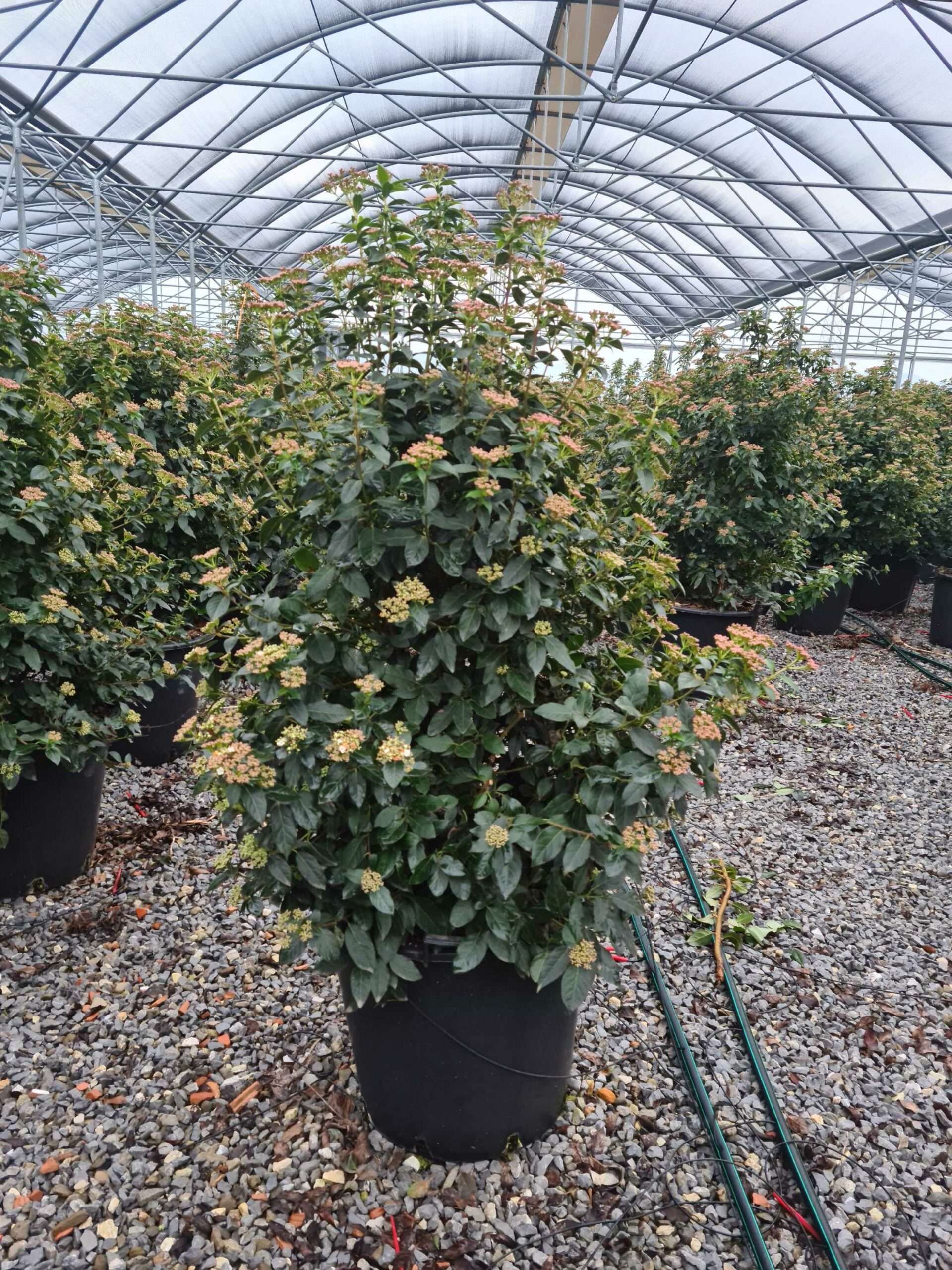 1640247686 scaled 64494a1d