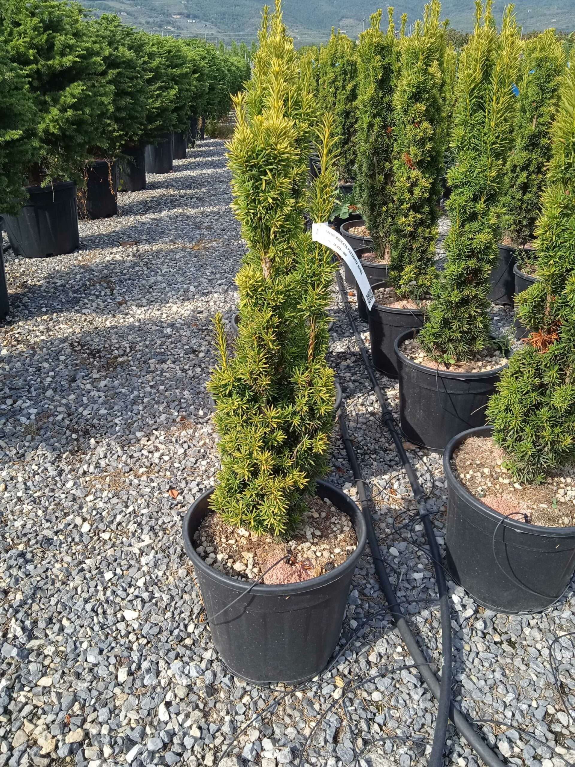 1662128478 scaled 648ce5d7