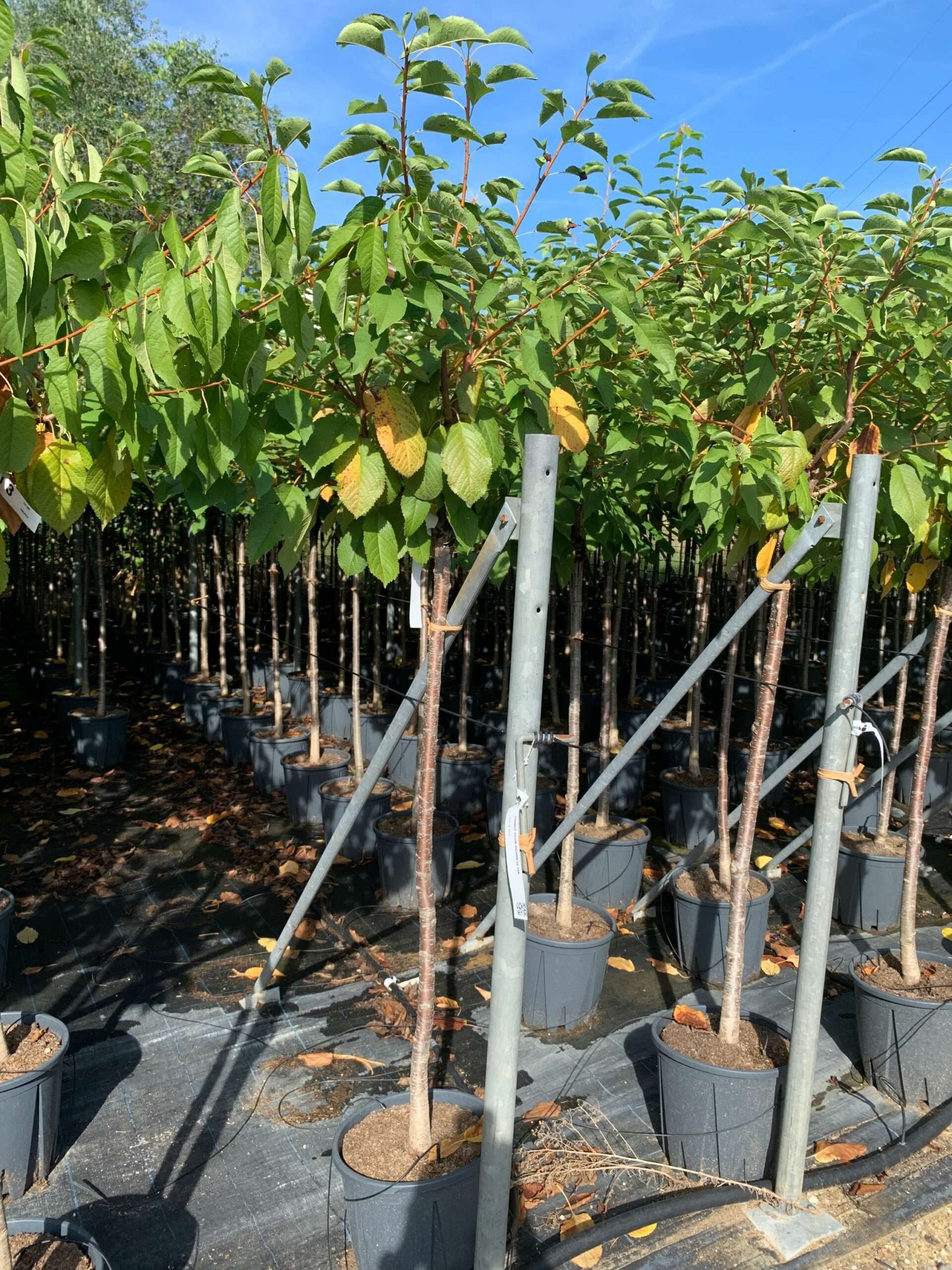 1662365076 scaled 6468f1ab