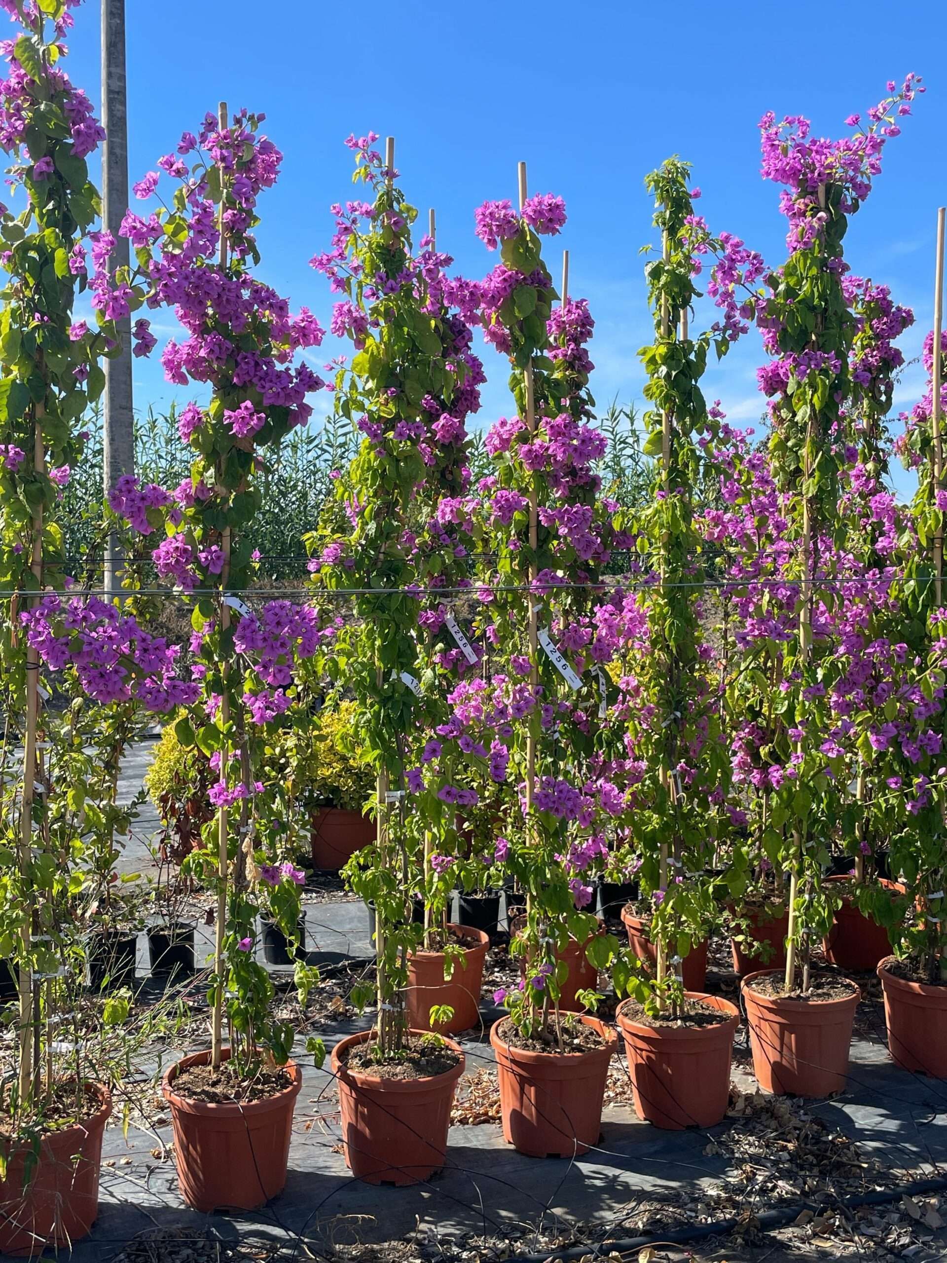 1663074761 scaled 6480fd4c