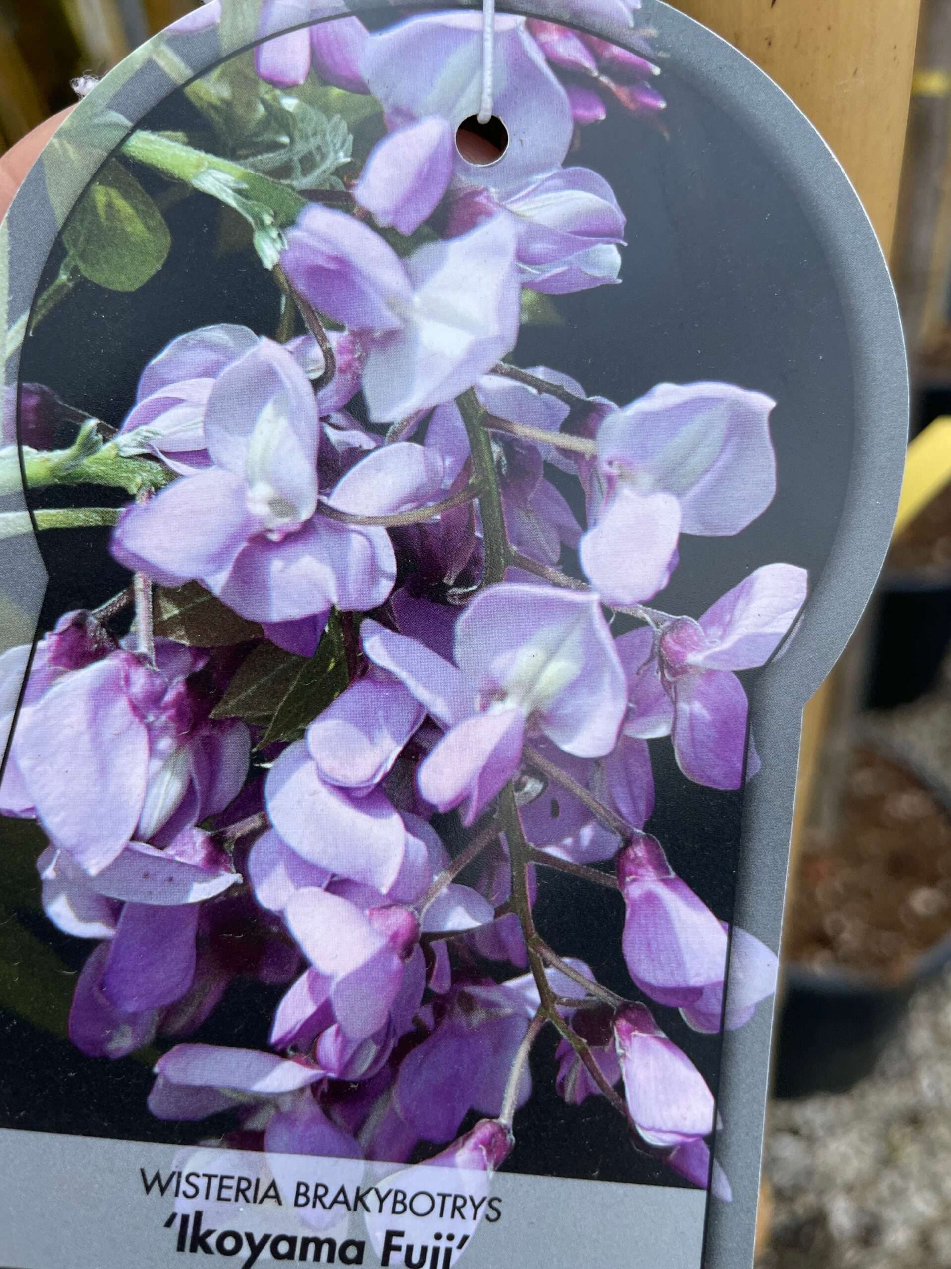 1677839894 scaled 64e1dad2