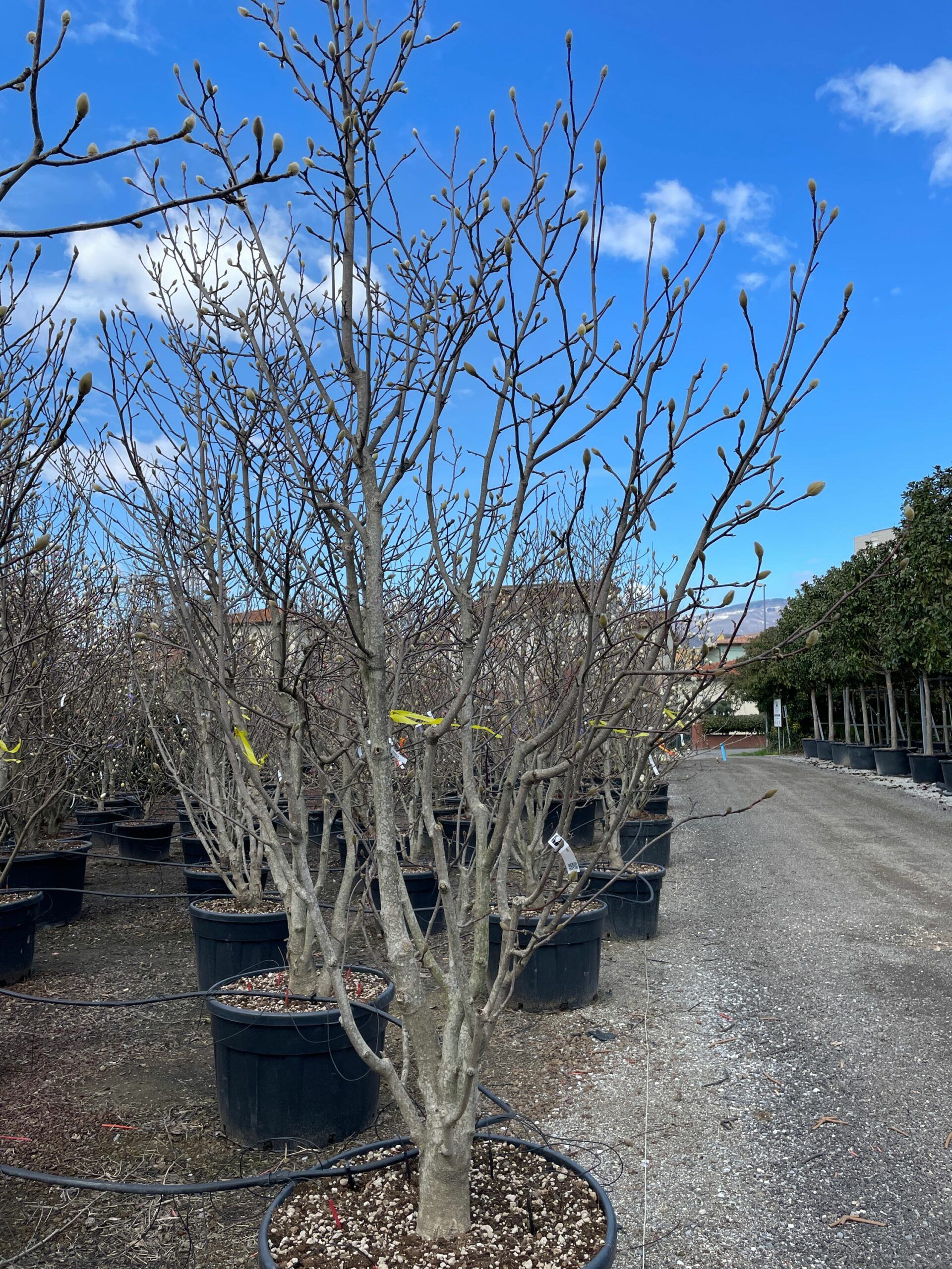 1677849633 scaled 6429637c