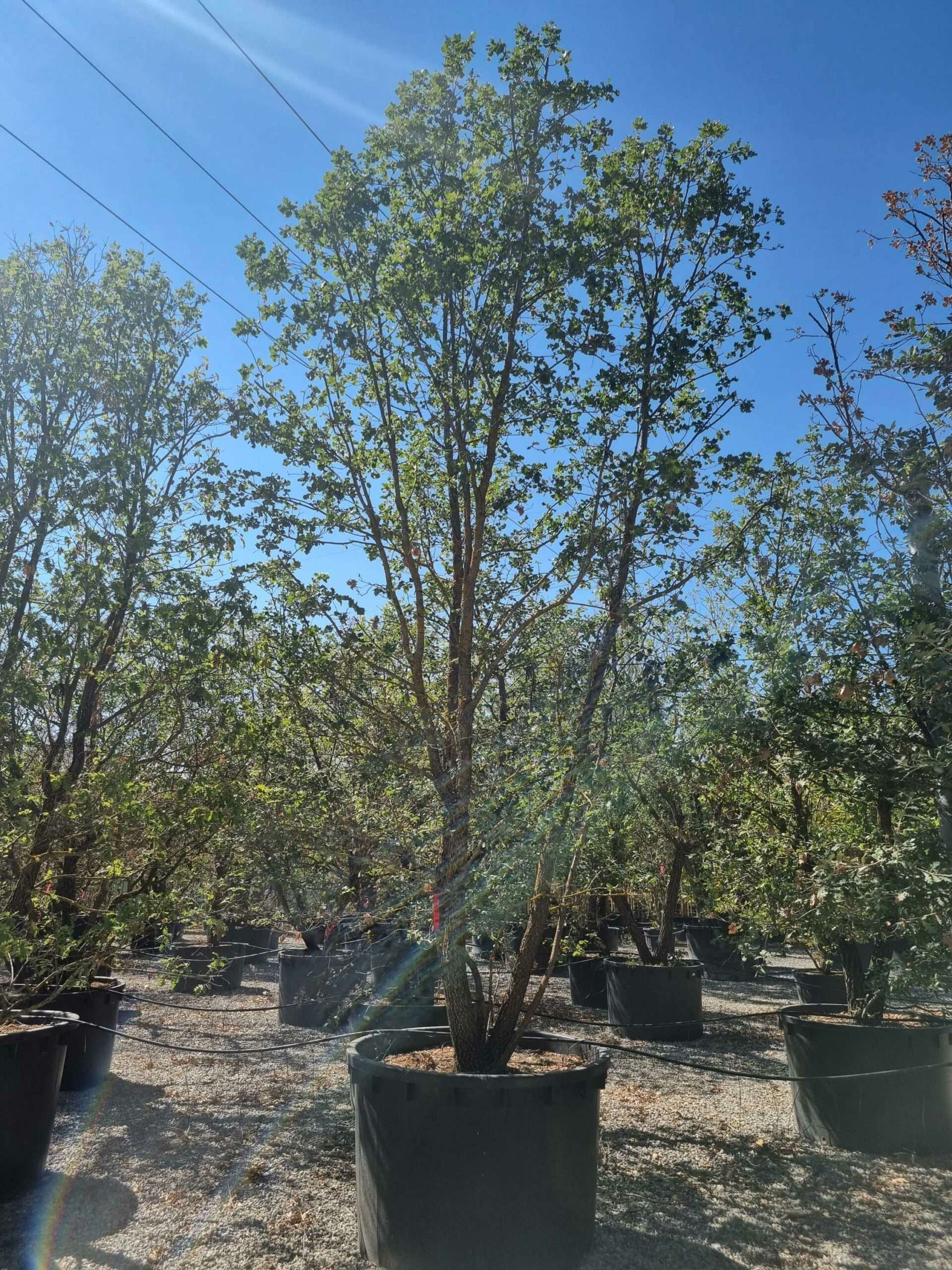 1692710947 scaled 64361e53