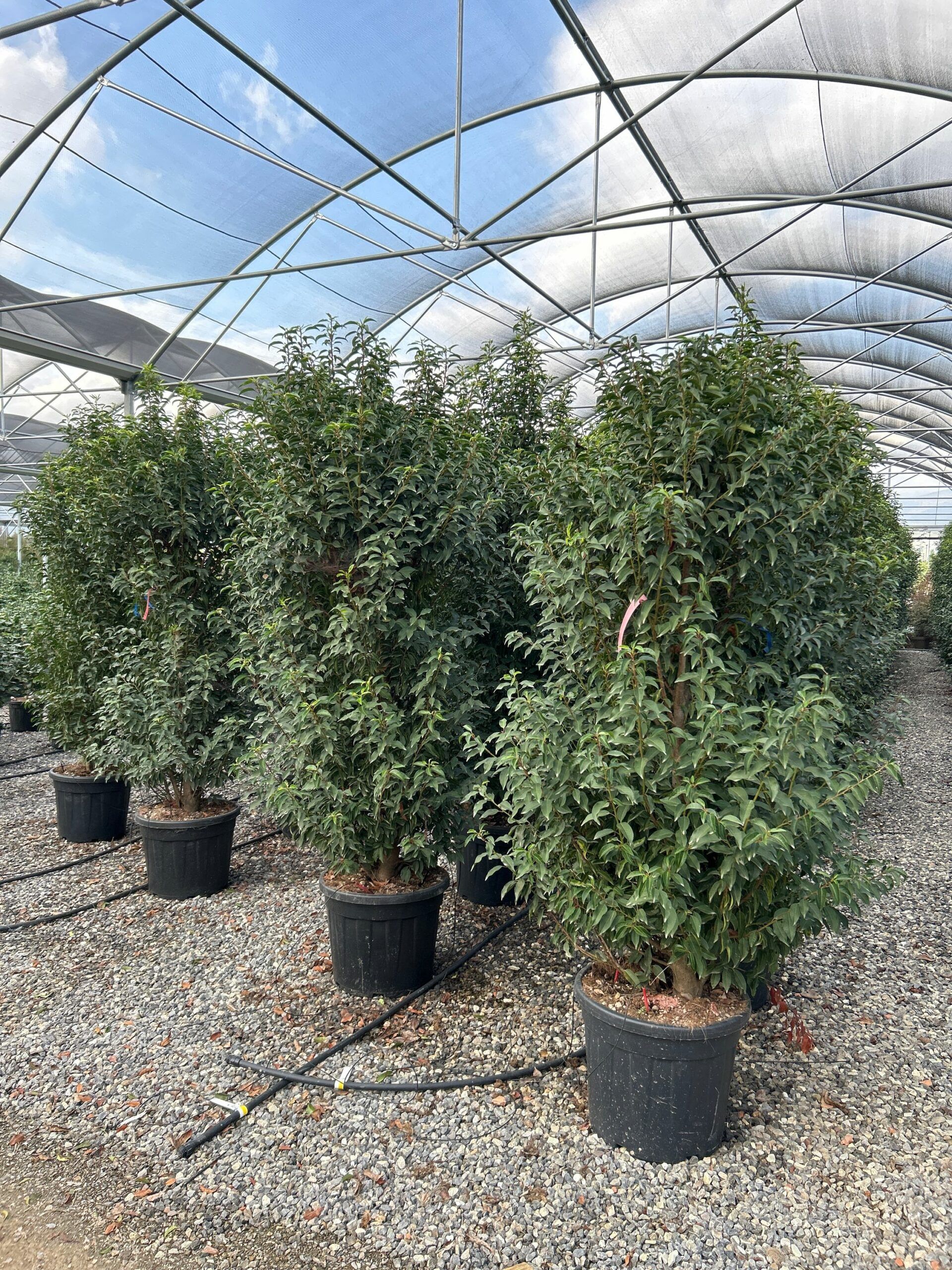 1697287698 scaled 644933c9