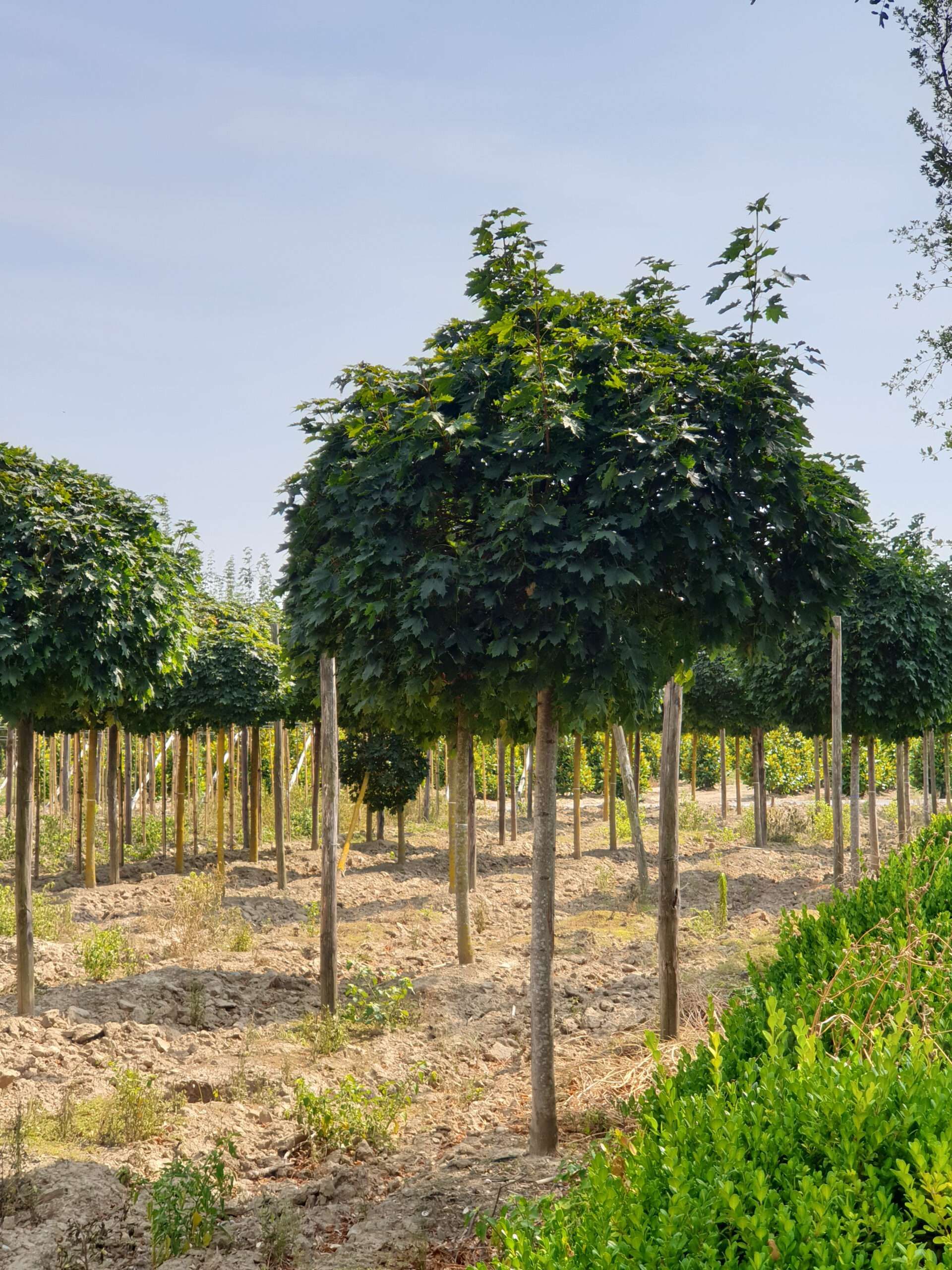 1610700157 scaled 6512e3cd