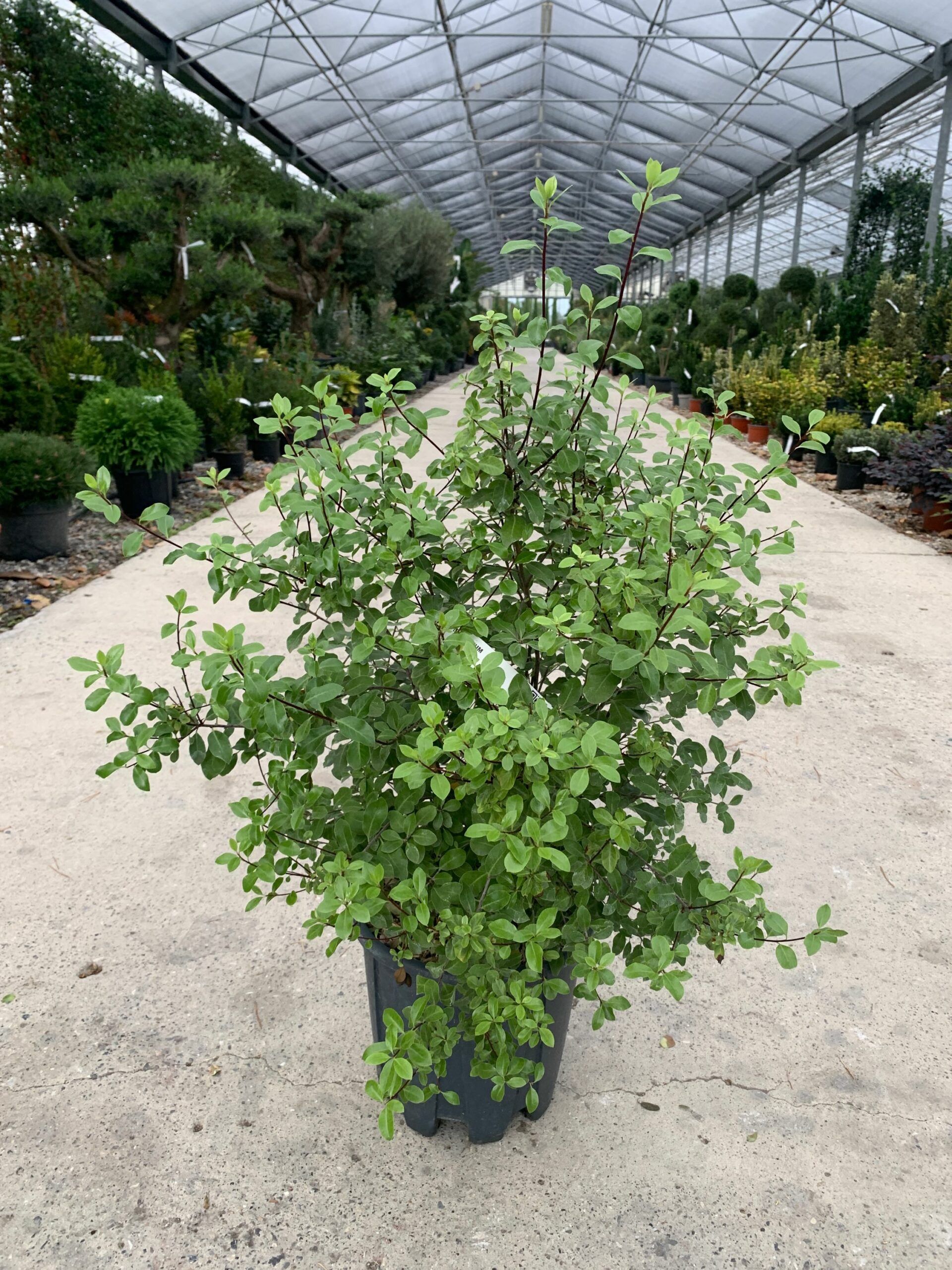 1634826044 scaled 65aa2154