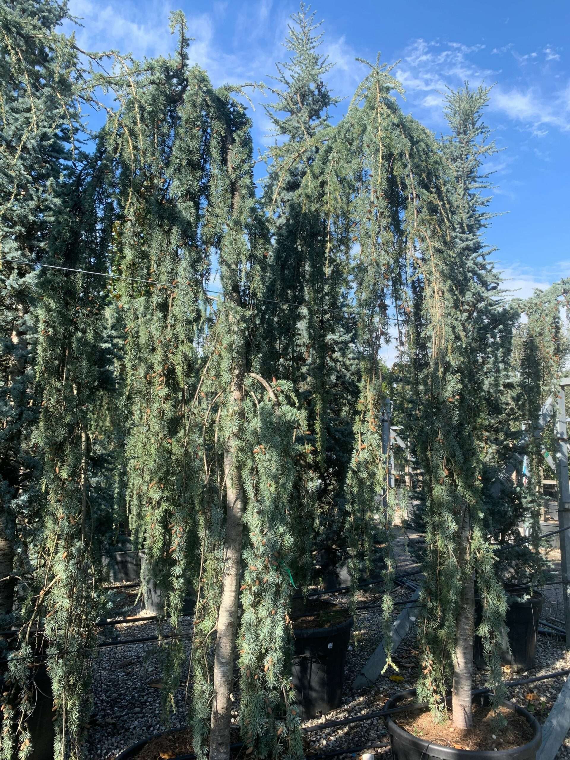 1636368203 scaled 659079b8