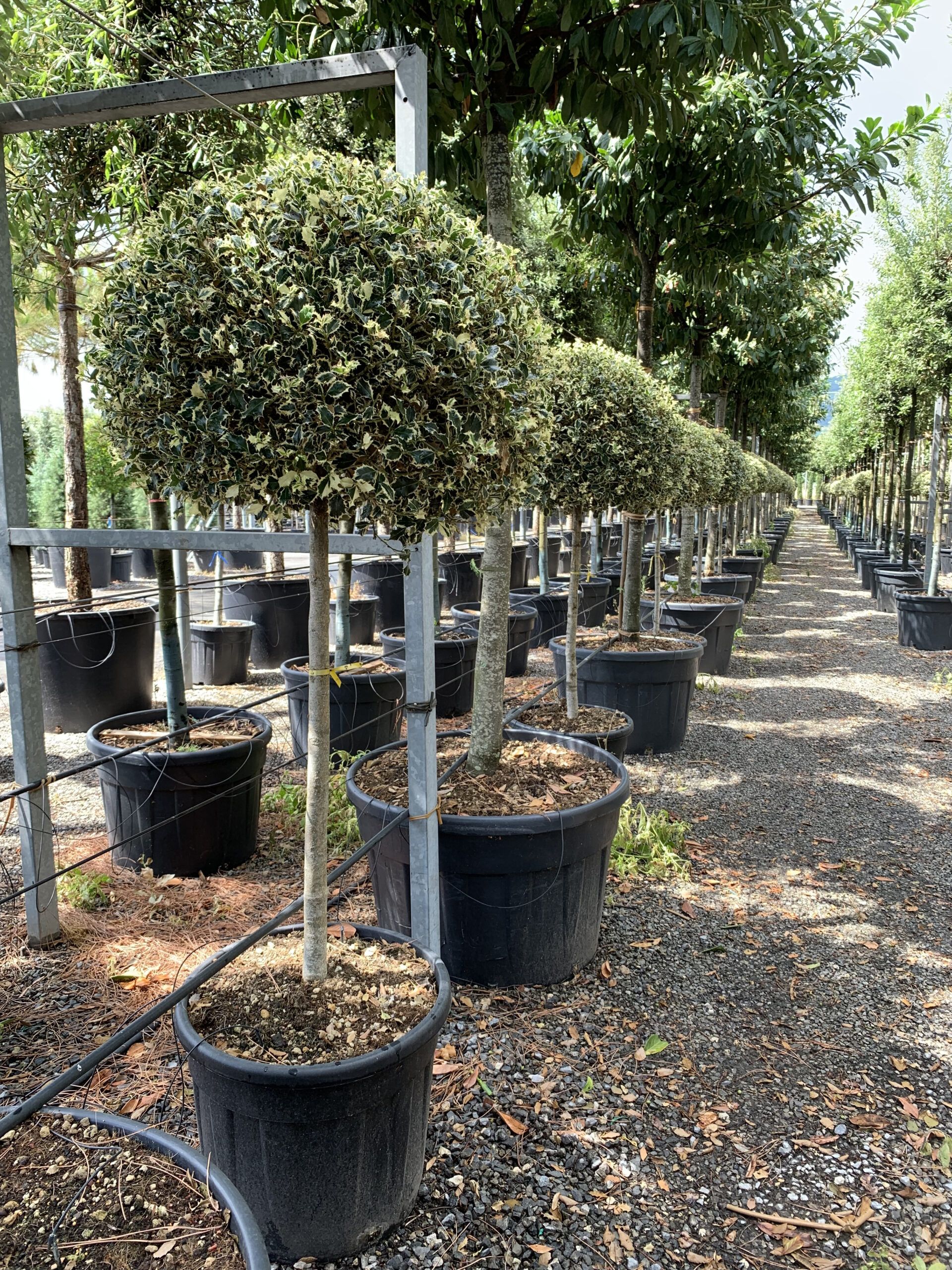 1657119751 scaled 65a24745