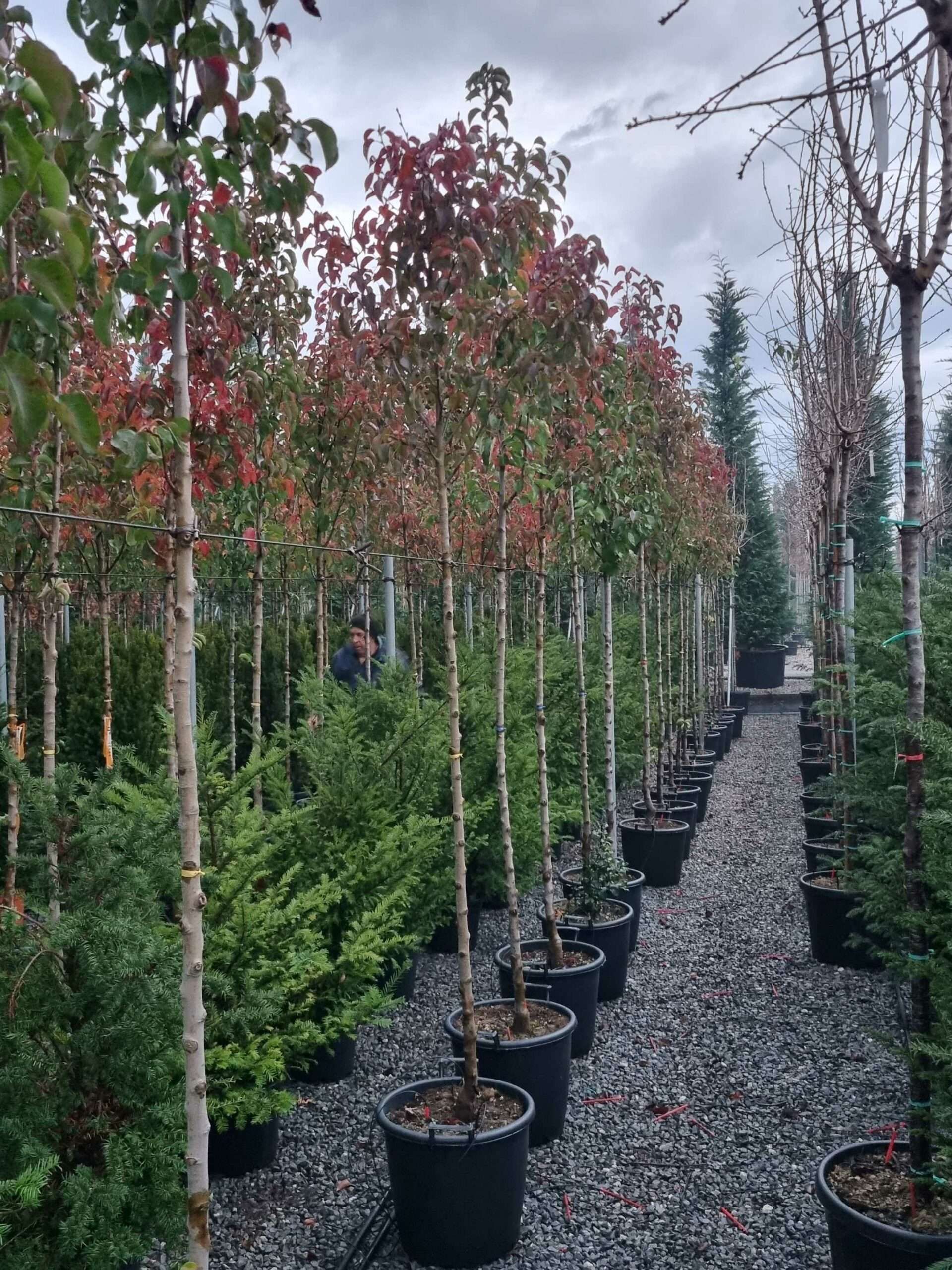 1668700323 scaled 65a44311