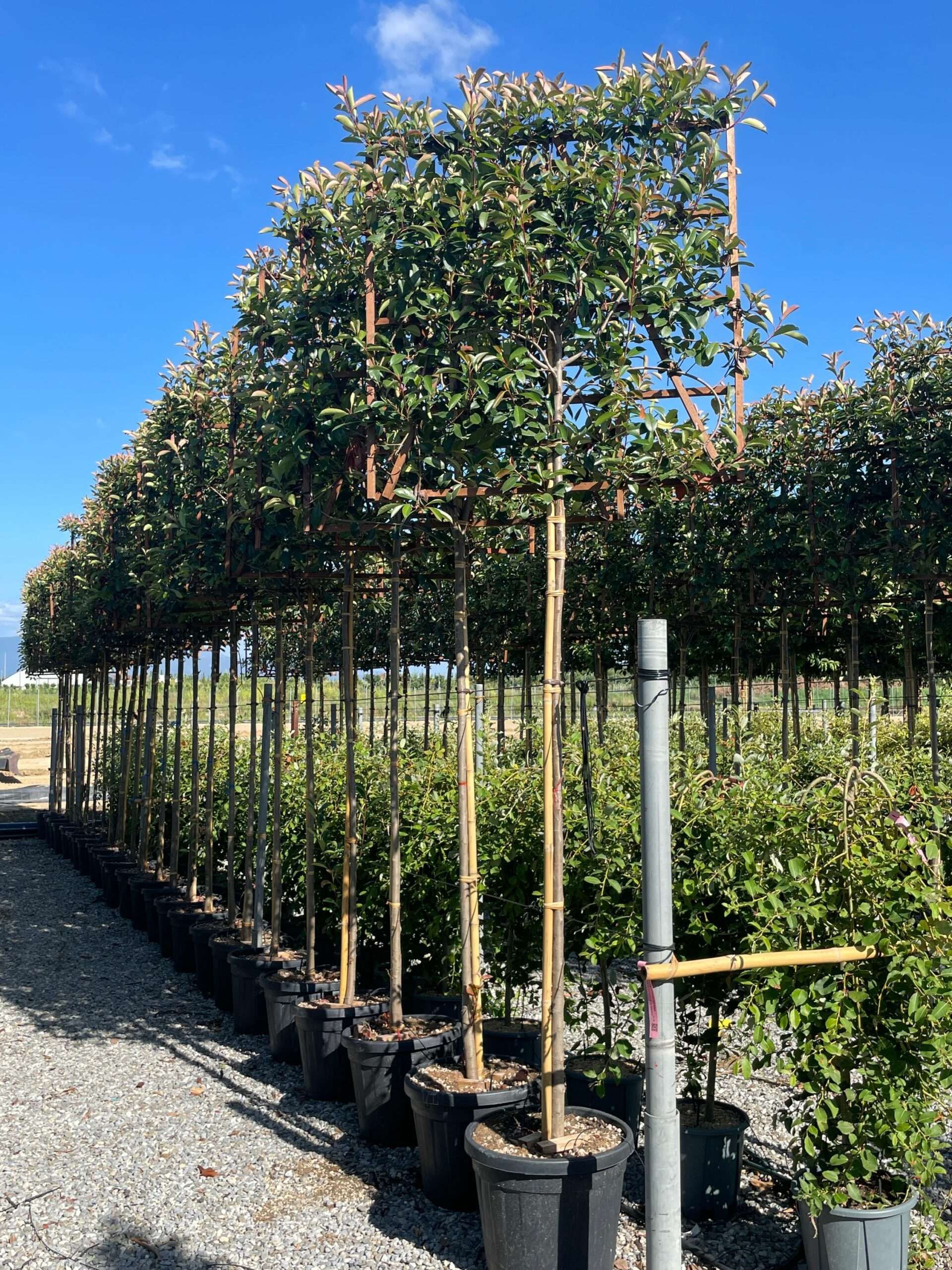 1690988884 scaled 6598a1e5