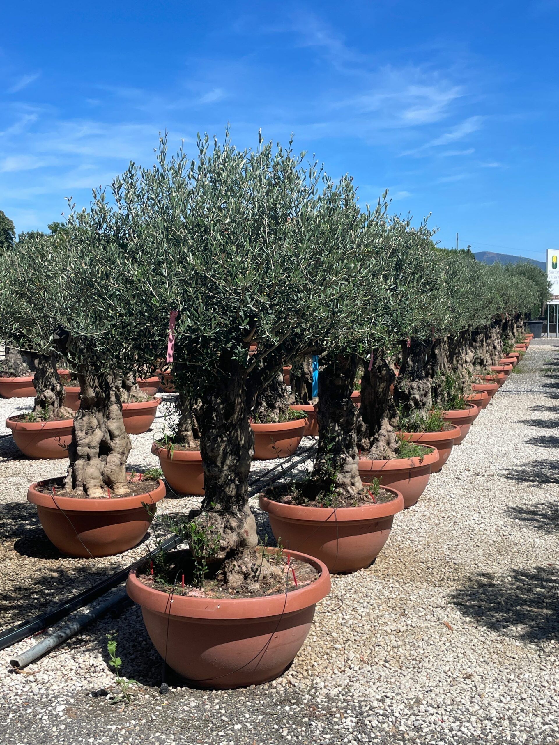 1691499325 scaled 655b7152