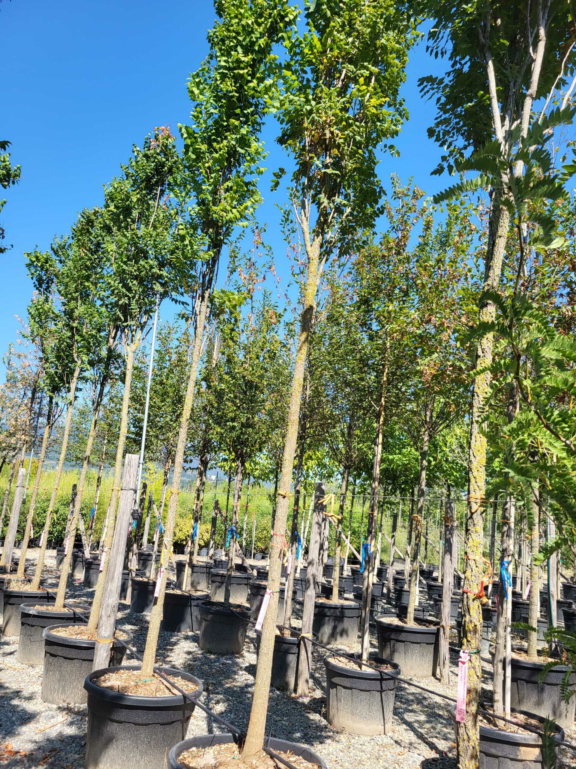 1692796508 scaled 65a2789b