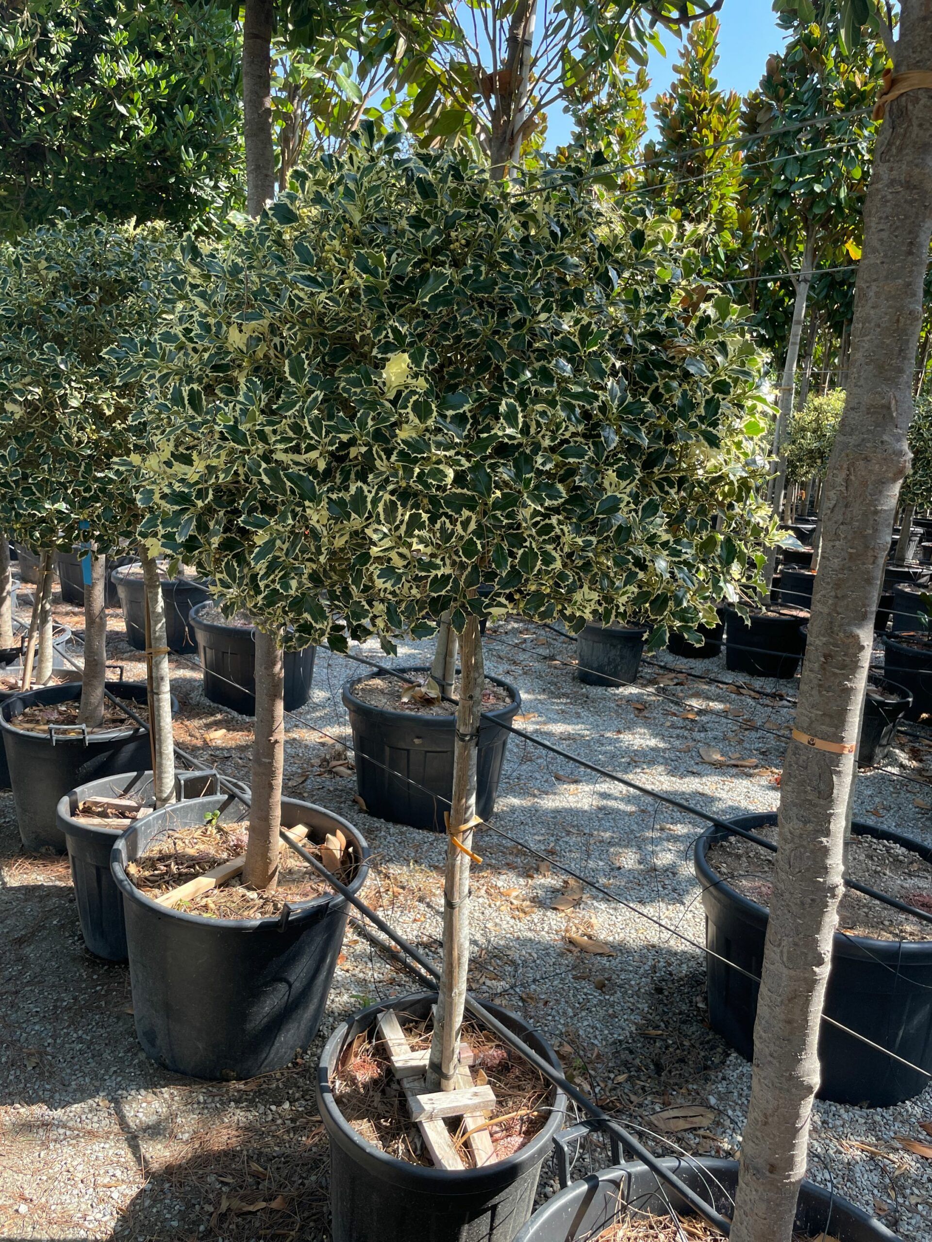 1692952859 scaled 656001e6