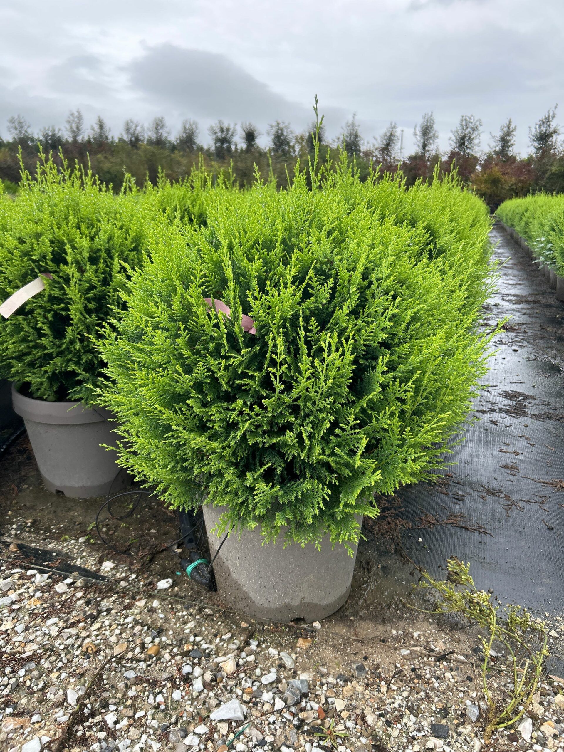 1698158261 scaled 65b5e742