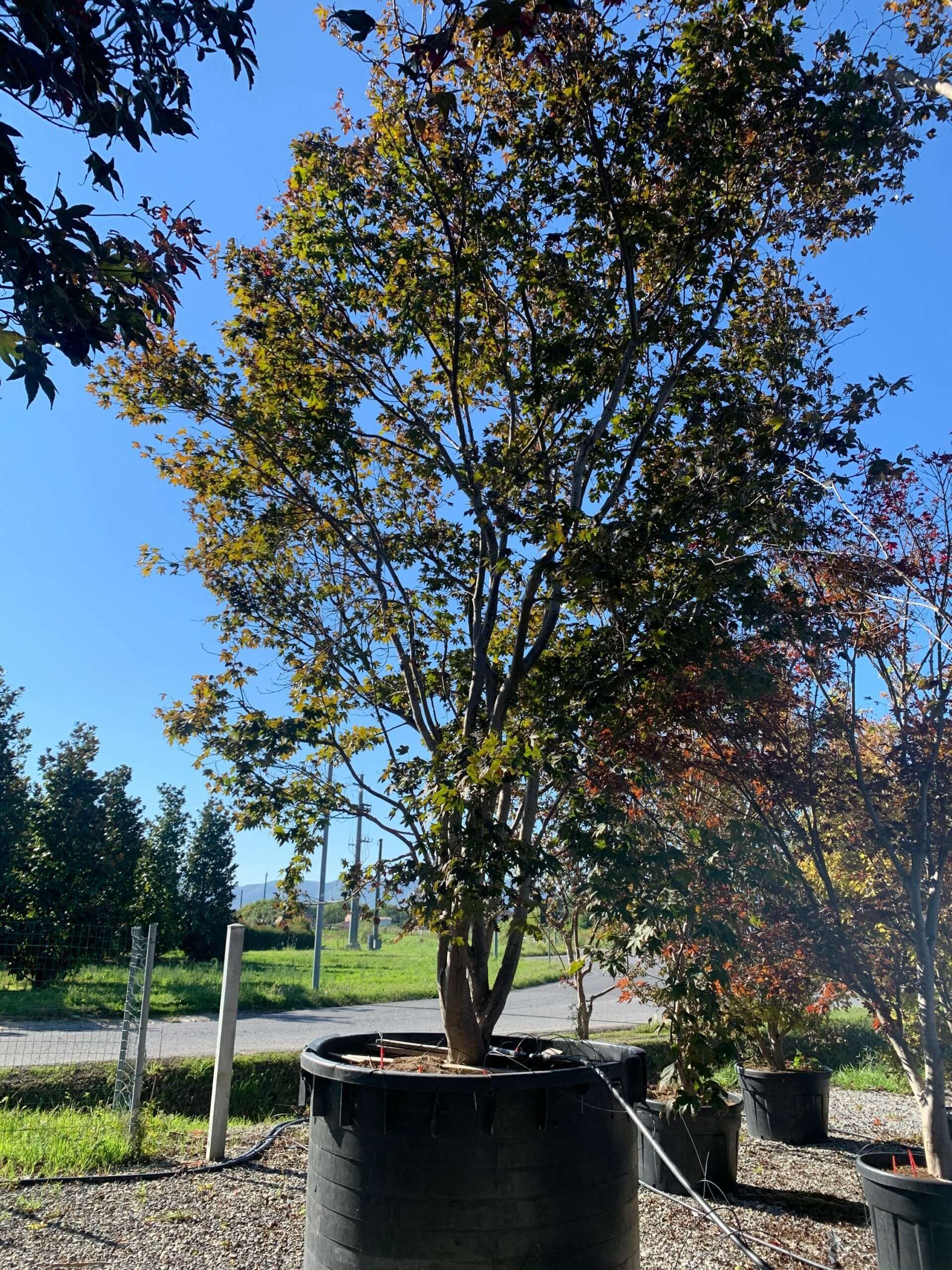 1634289118 scaled 669b5b2a