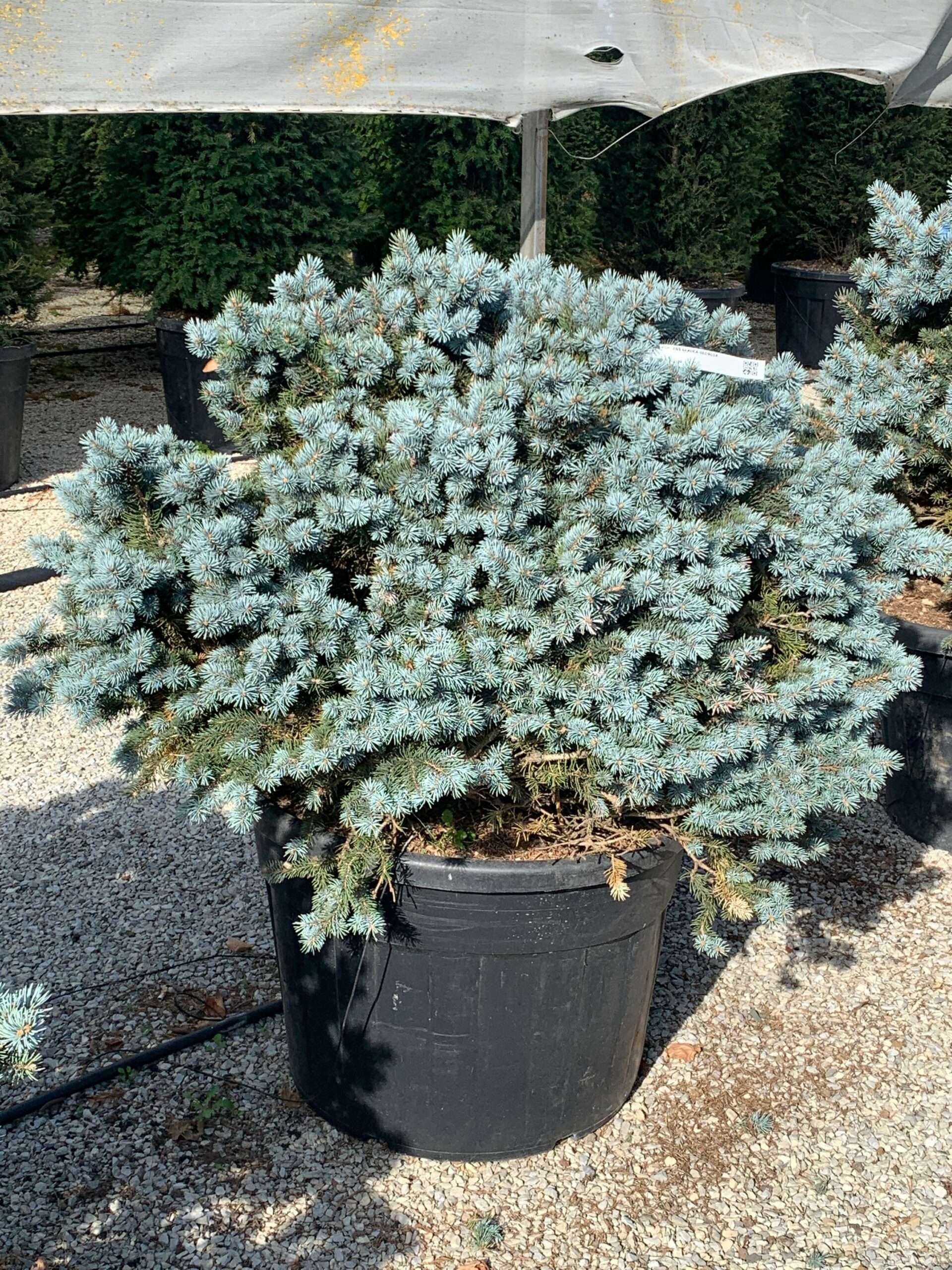 1635501435 scaled 662595ea