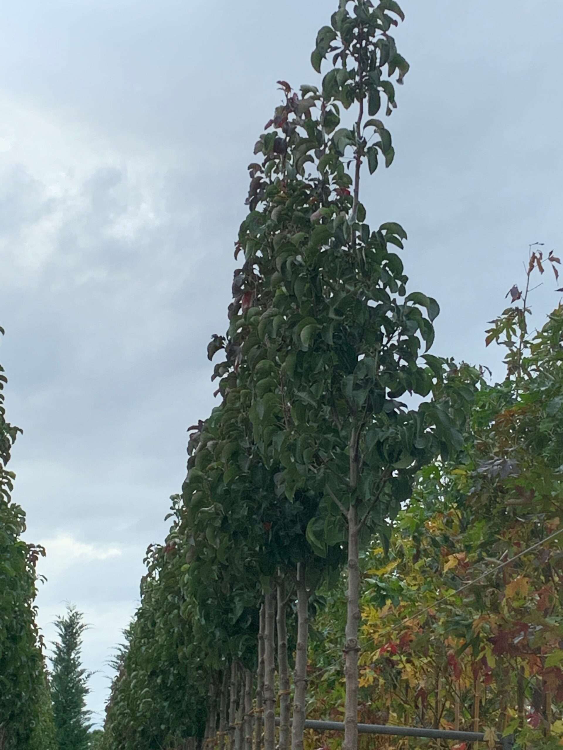 1635949932 scaled 66765f18