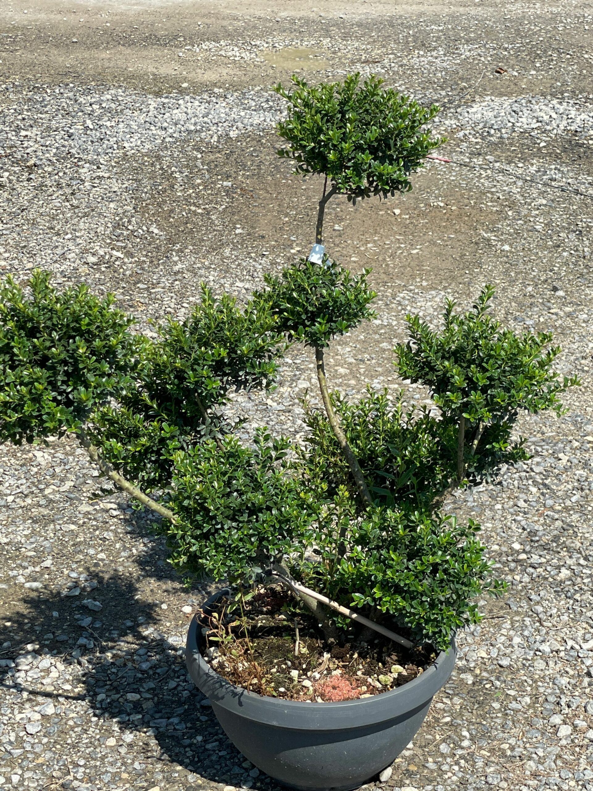 1661509273 scaled 6648d680