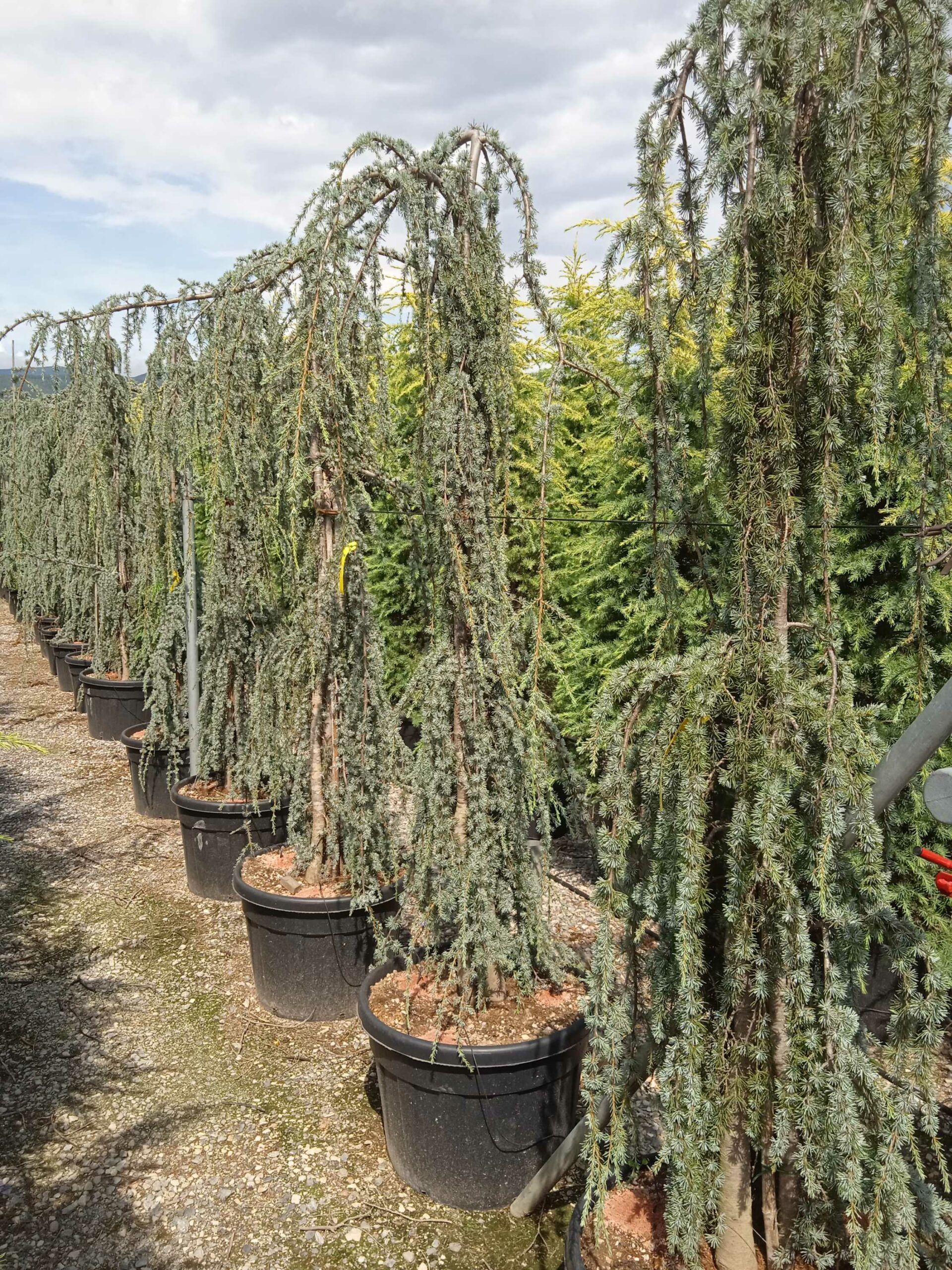 1662035846 scaled 661dab38