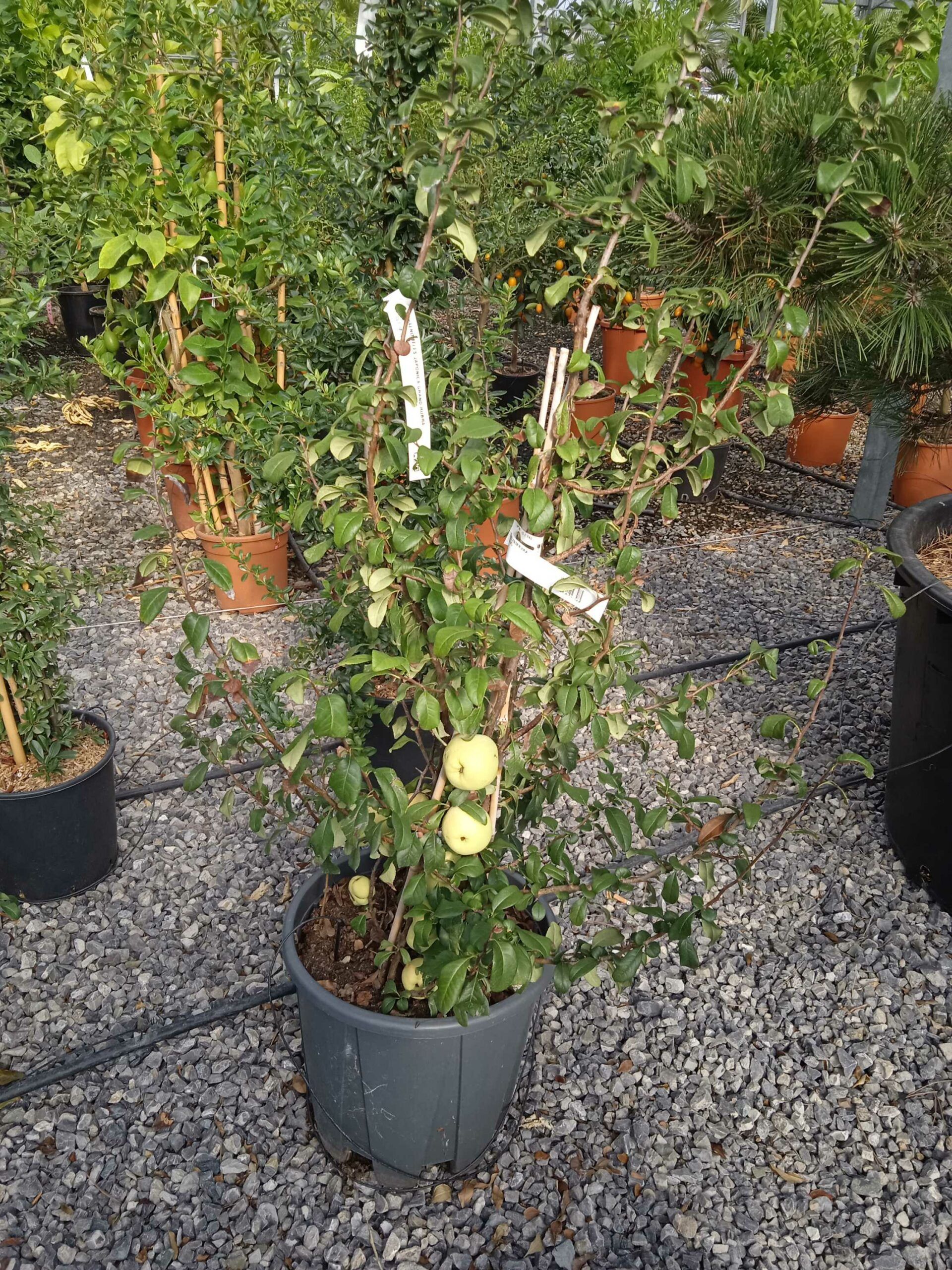 1662449021 scaled 66c31c2d