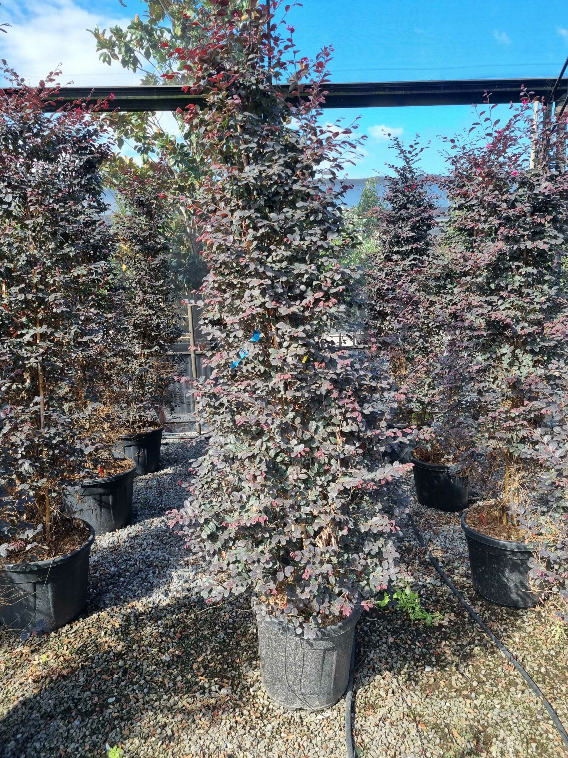 1663578473 scaled 66f47081