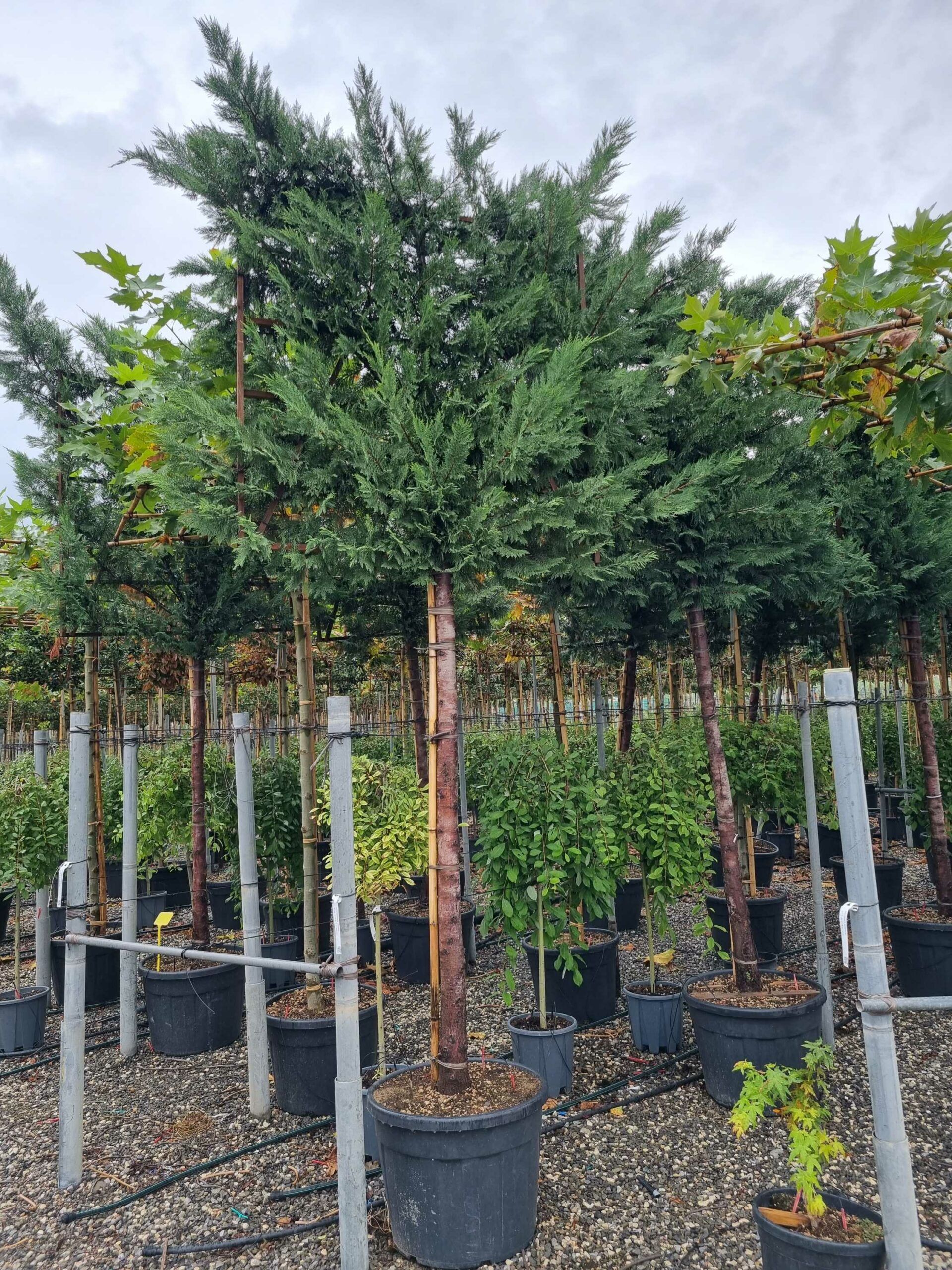 1664529918 scaled 66ada367