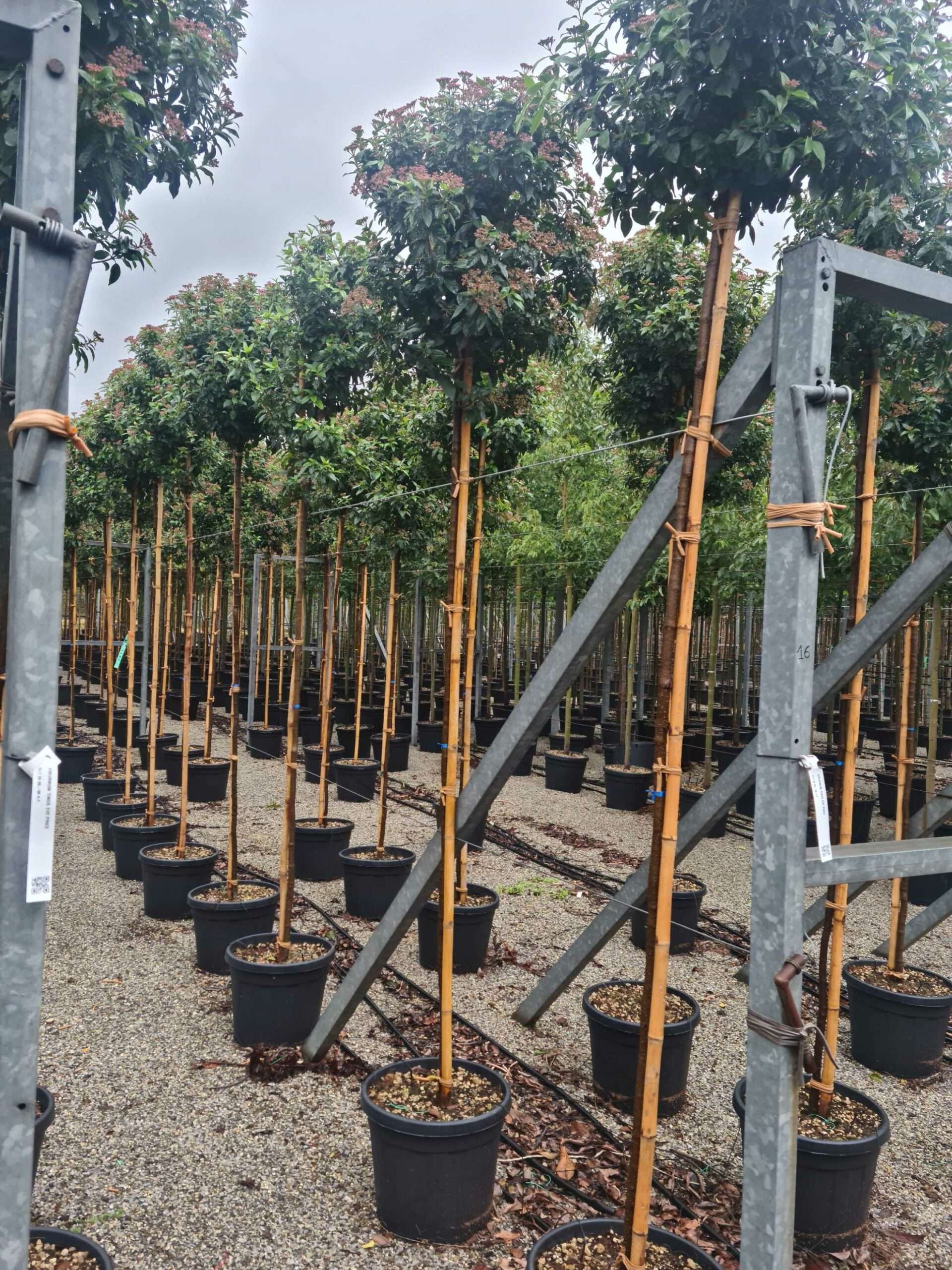 1671612044 scaled 66b8b91e