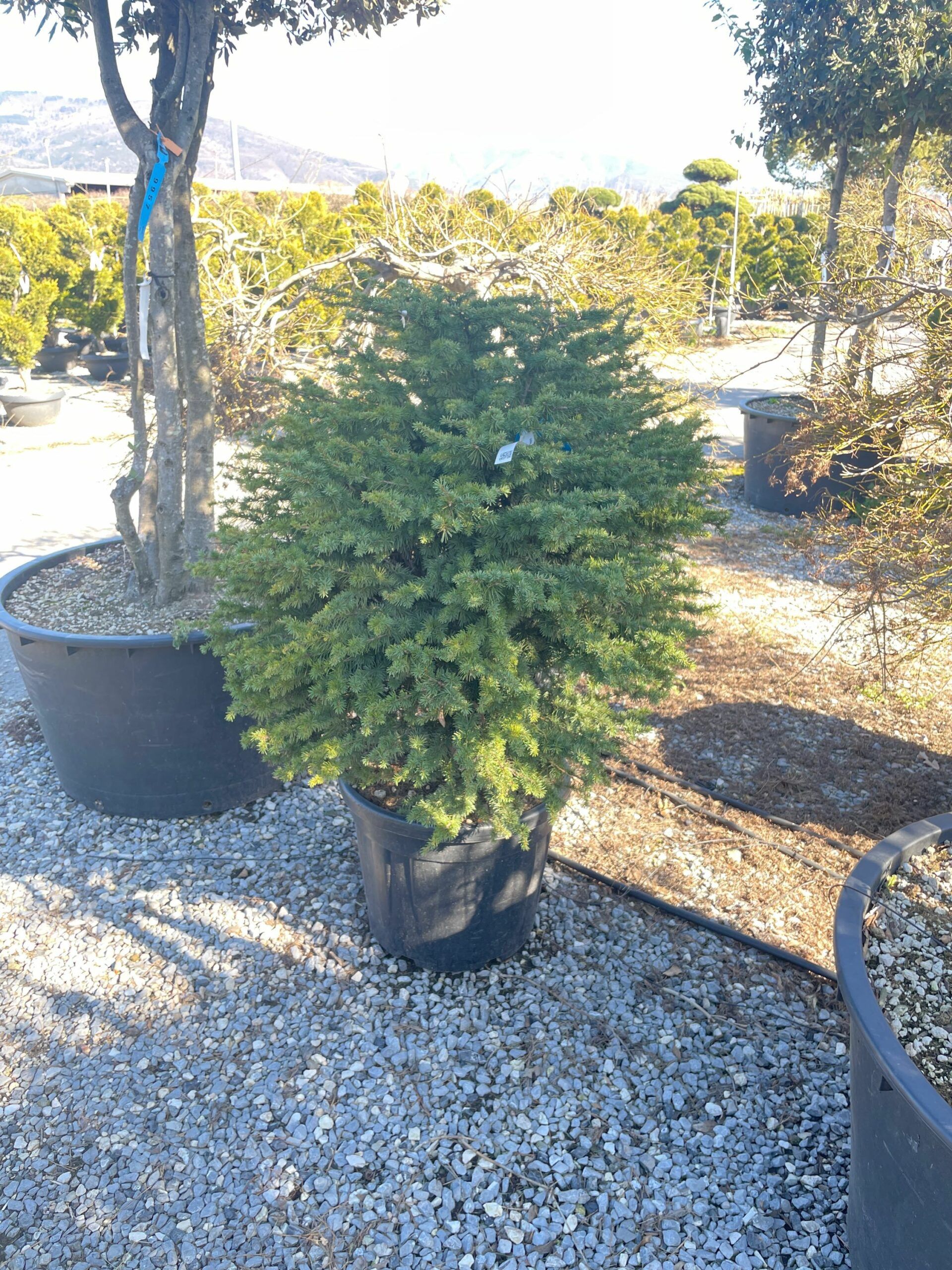 1675683663 scaled 66686853