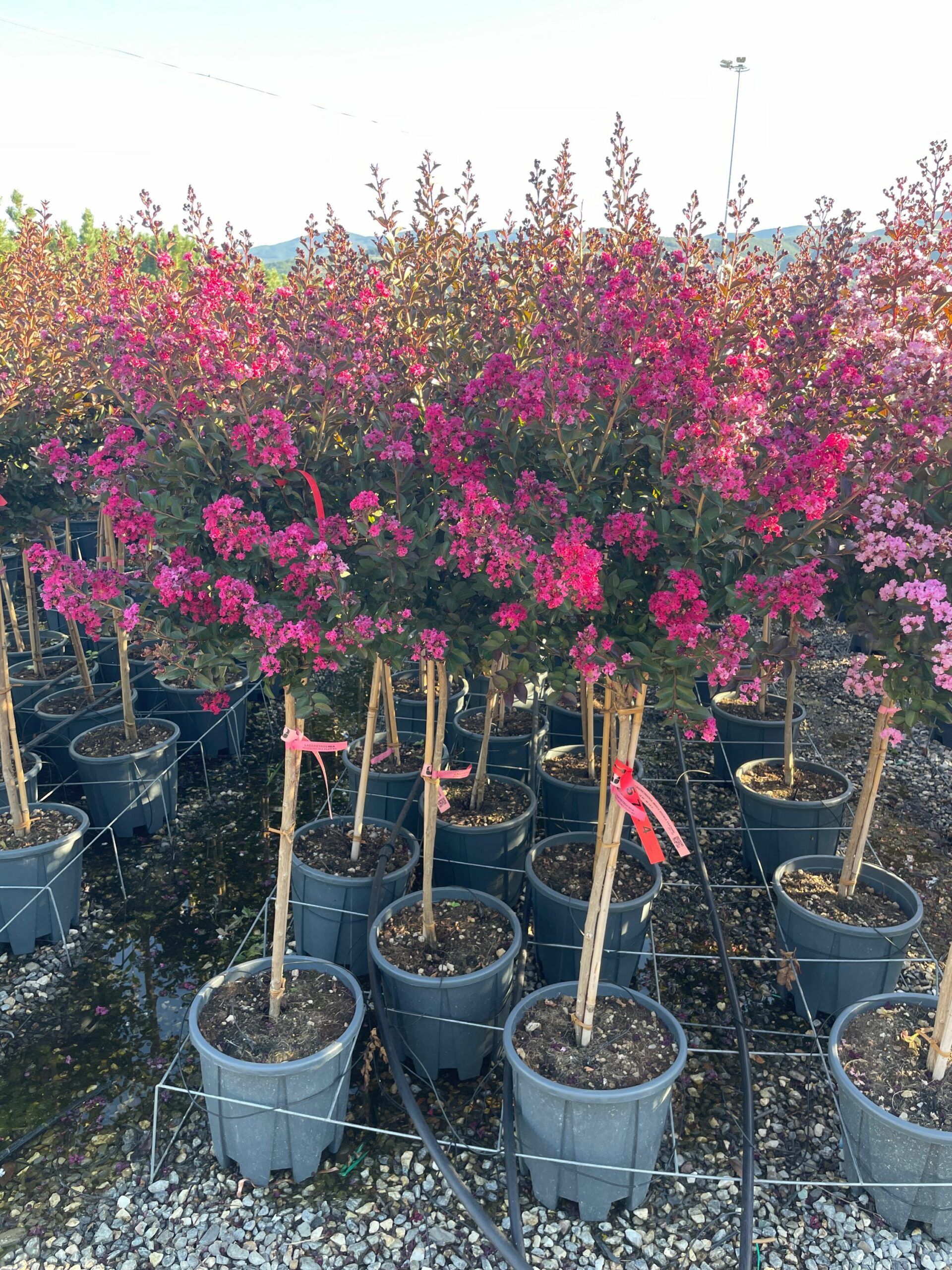 1691473759 scaled 66e20c49