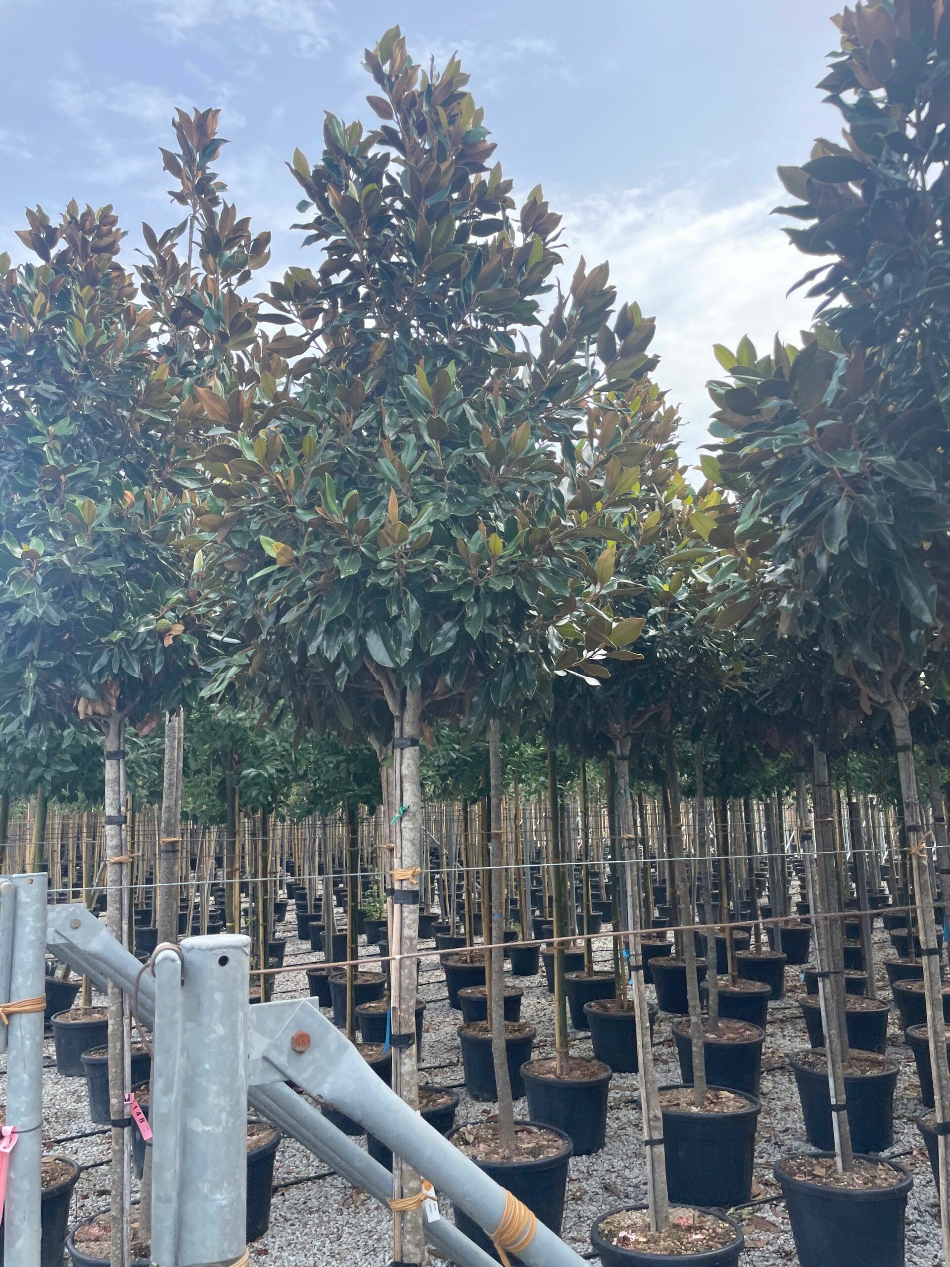 1695039729 scaled 6608d1f1