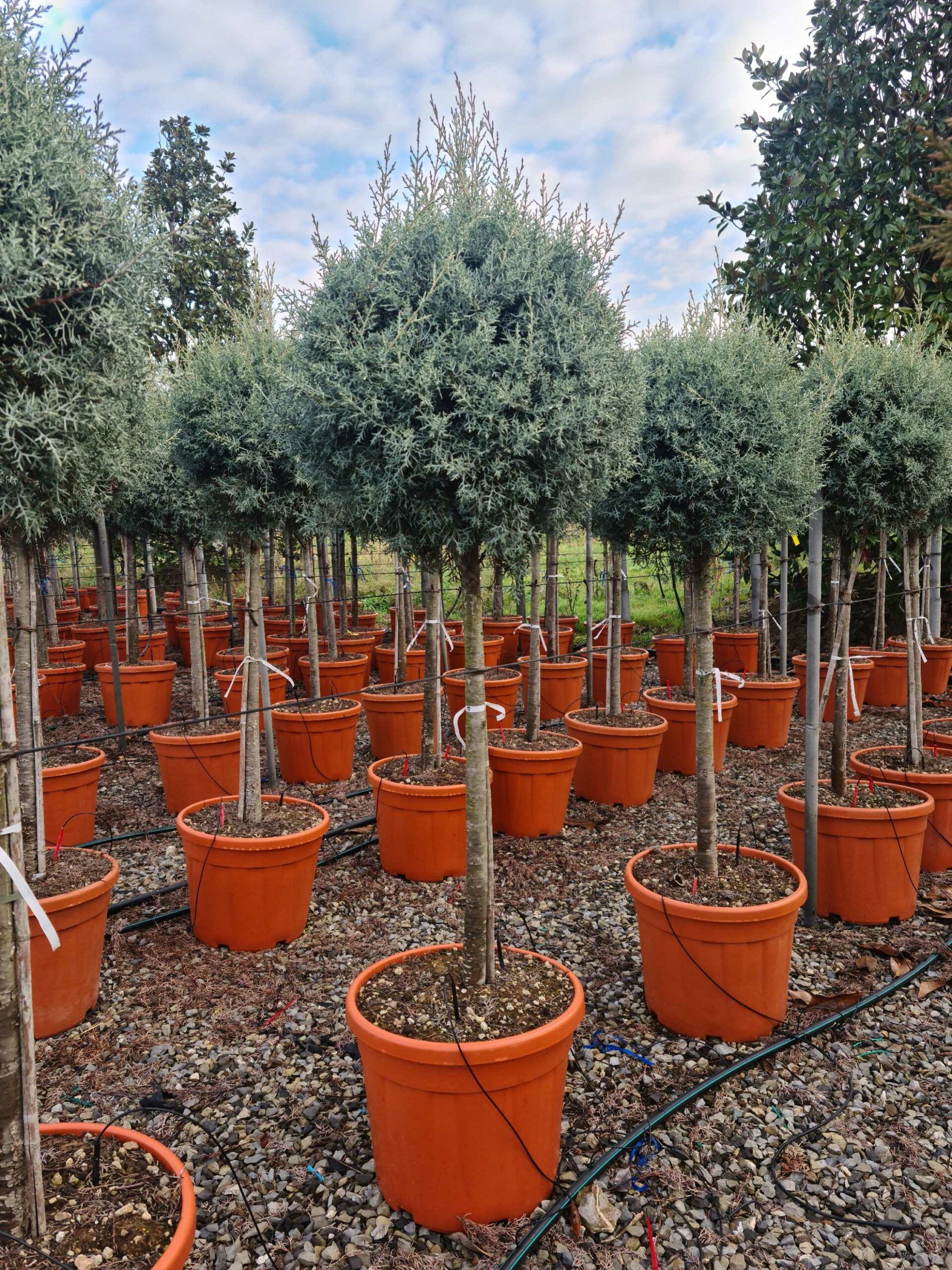 1640162596 scaled 679e95f1