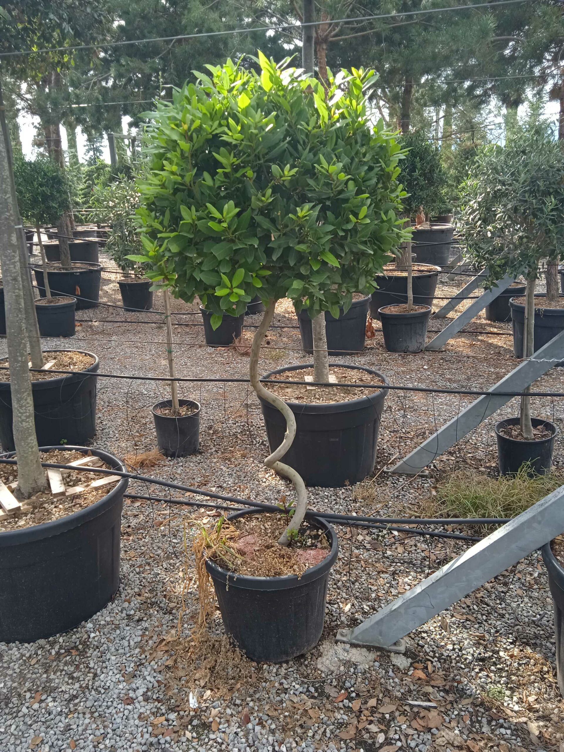 1661870382 scaled 67e87063