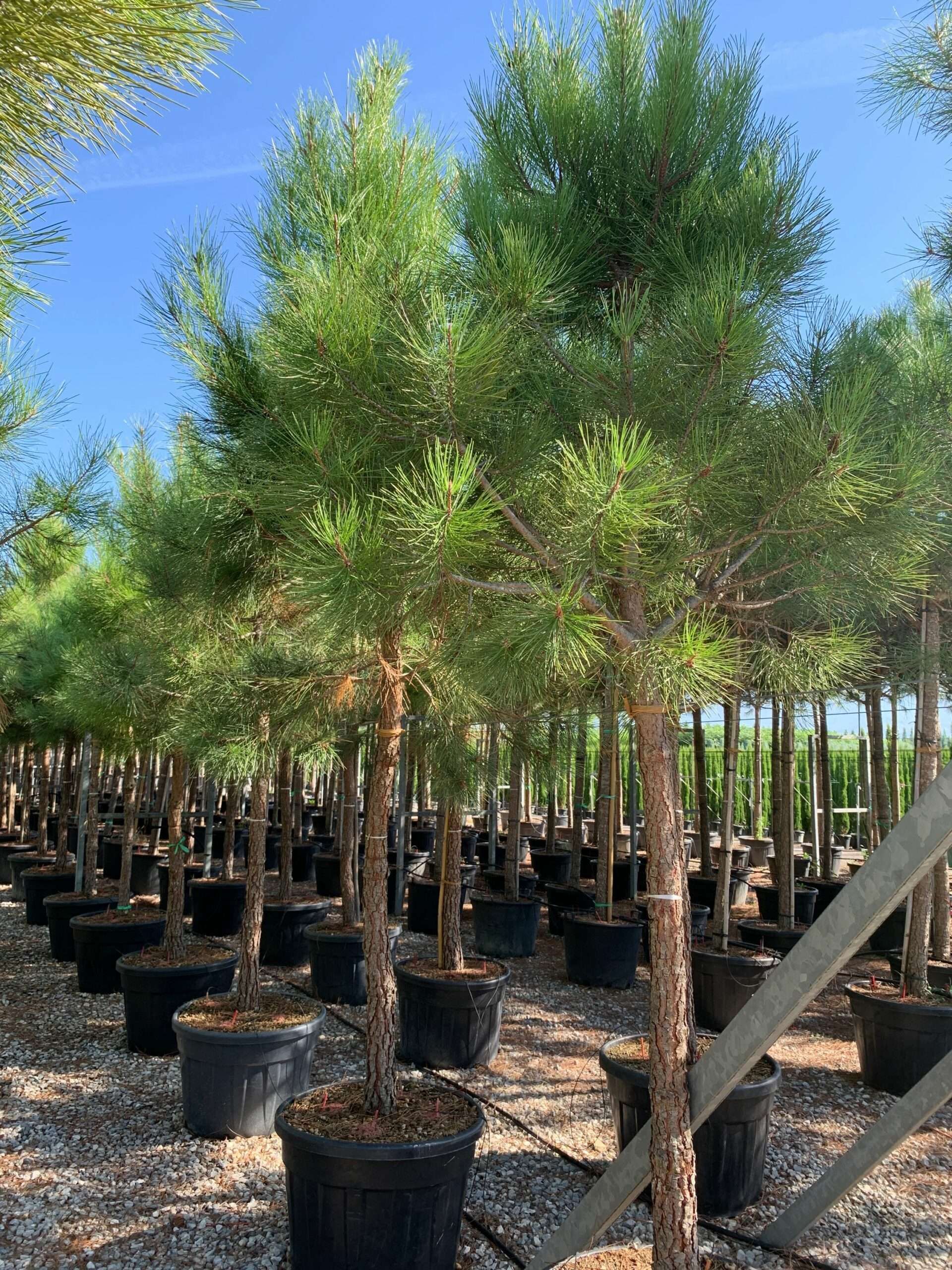 1662452534 scaled 675ca01c