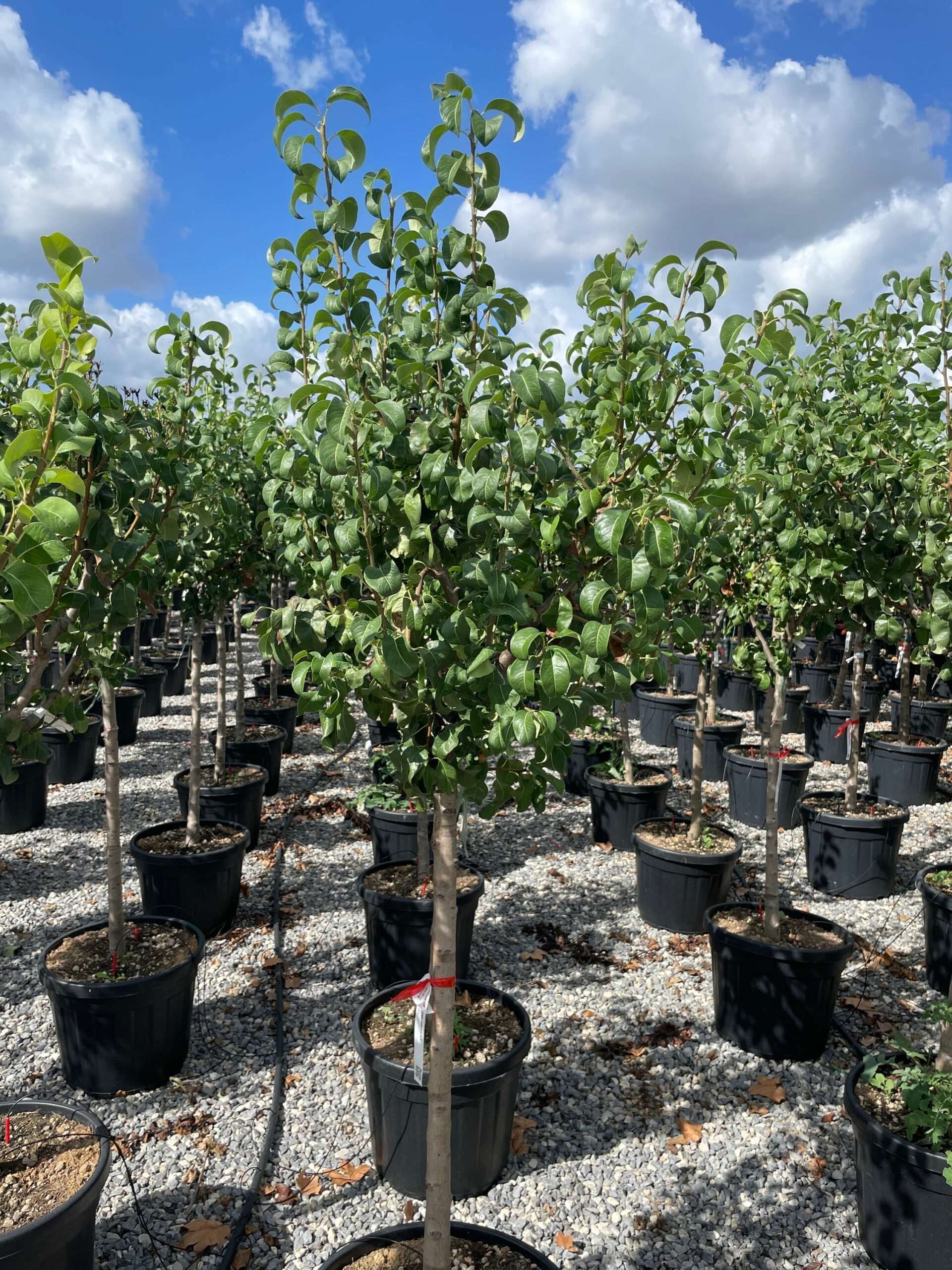 1662714234 scaled 67e400f7