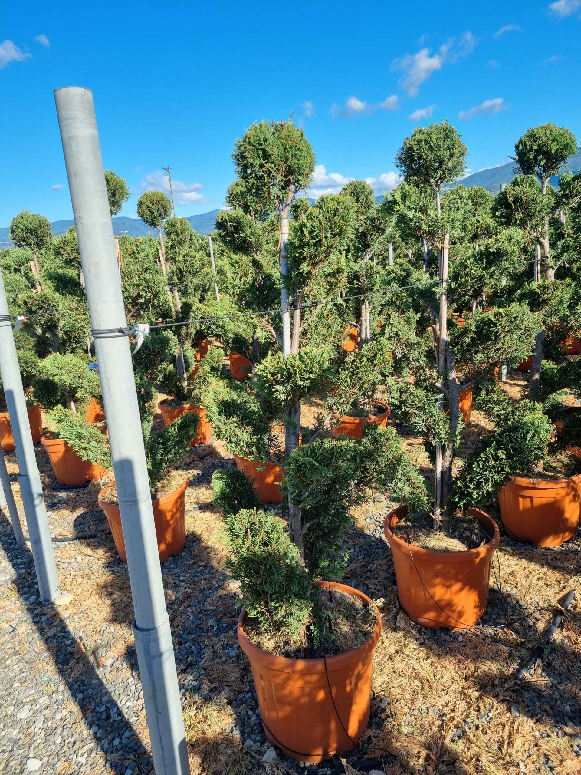 1663747245 scaled 676d6c92