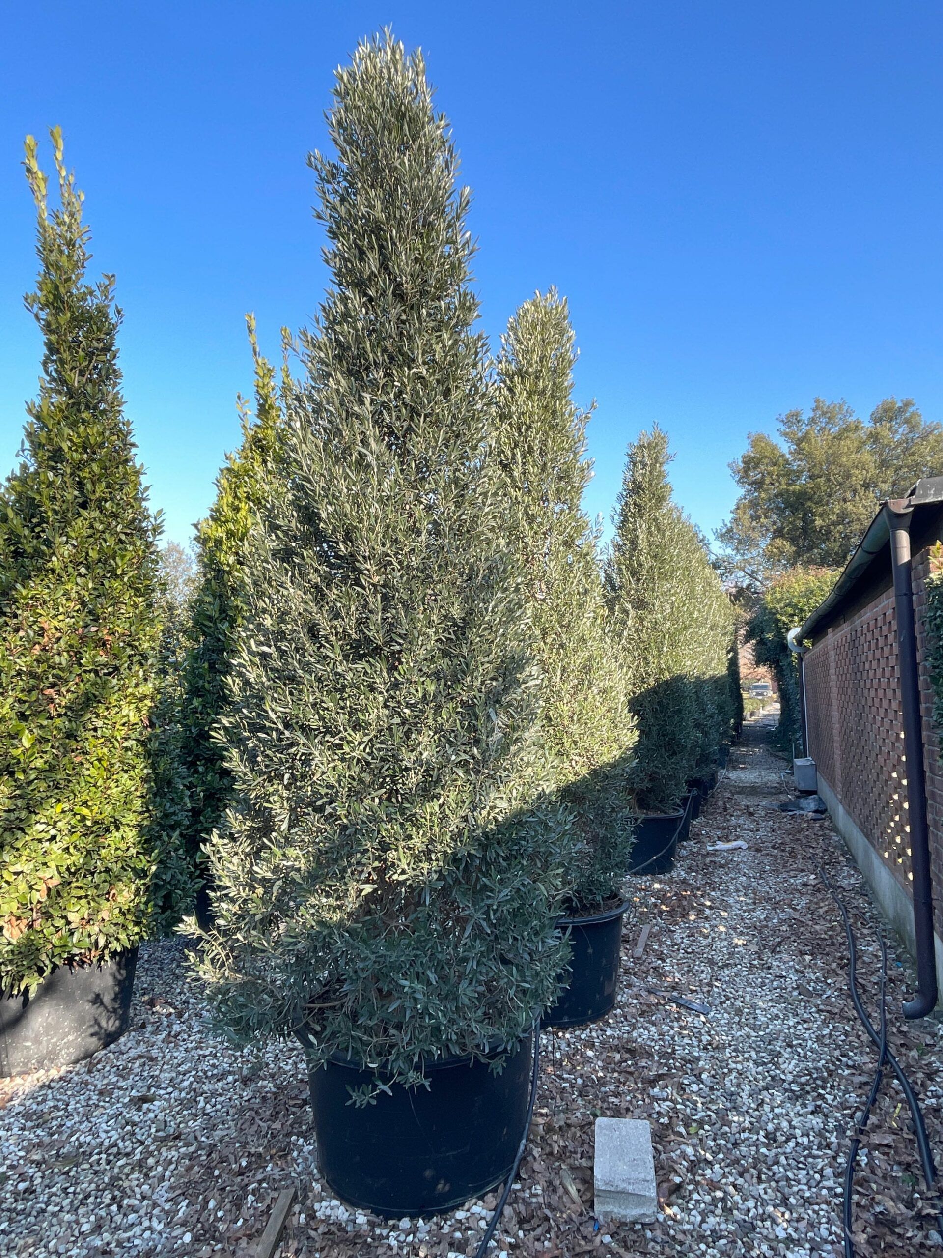 1676365553 scaled 67e8e004