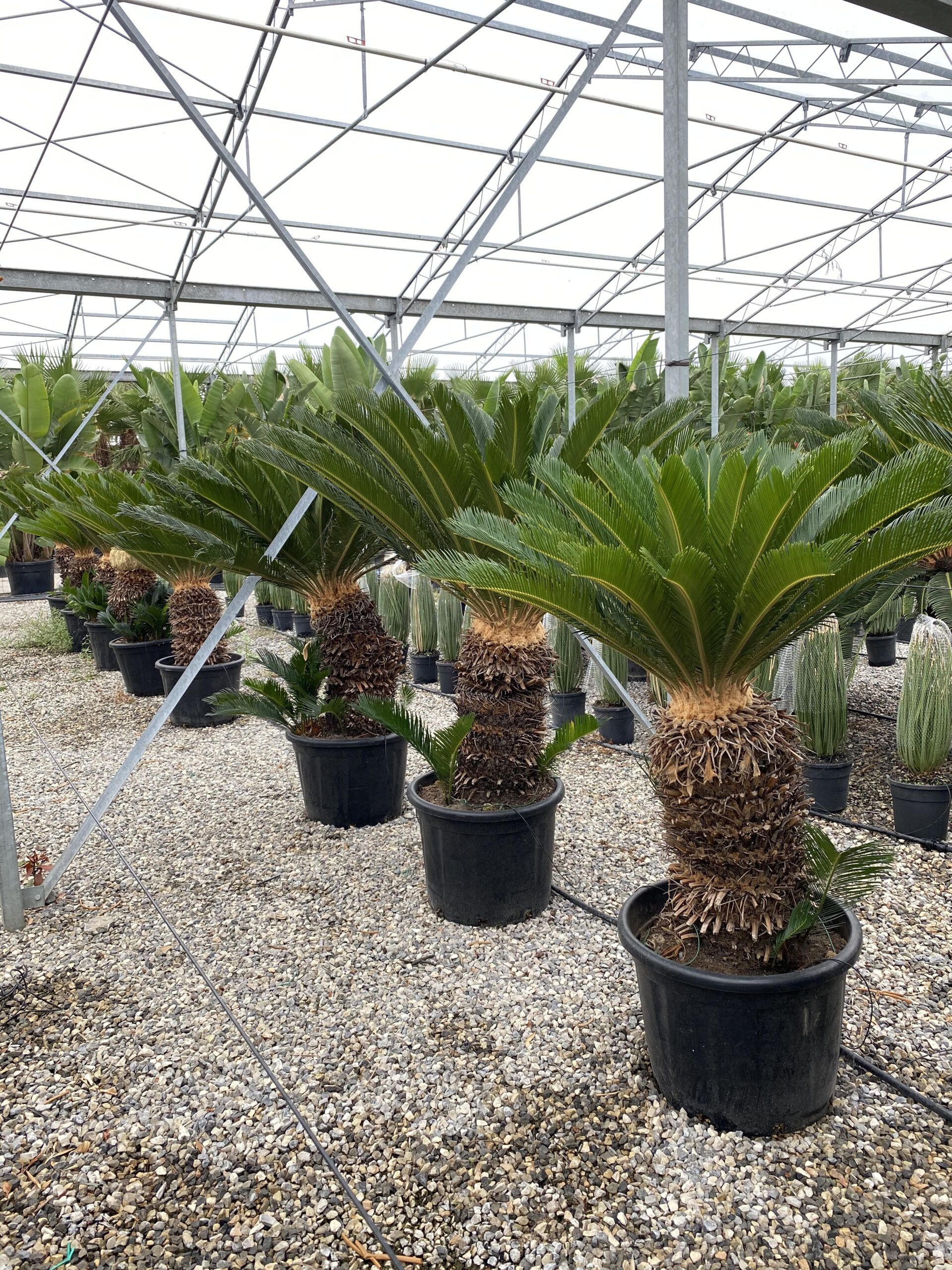 1633335964 scaled 6808dd00