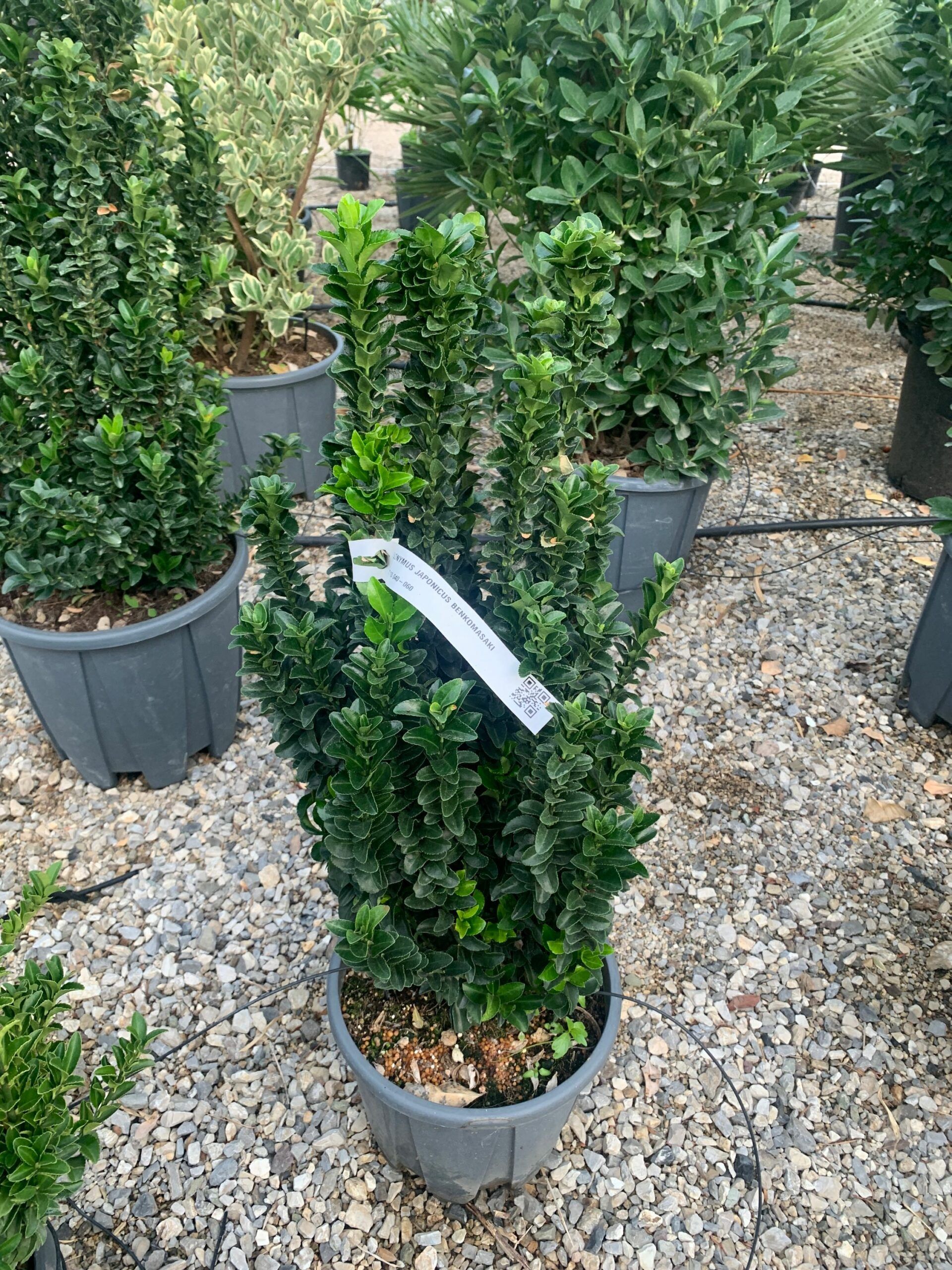 1634741876 scaled 688b301c