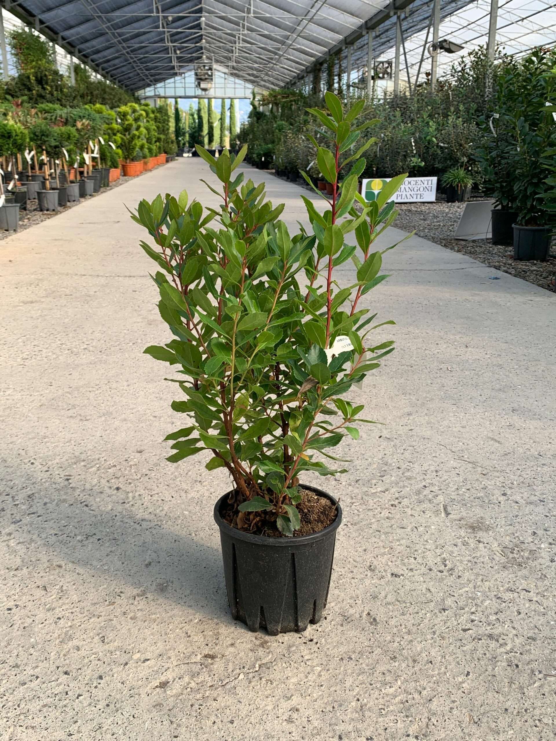 1634977402 scaled 68923aa1