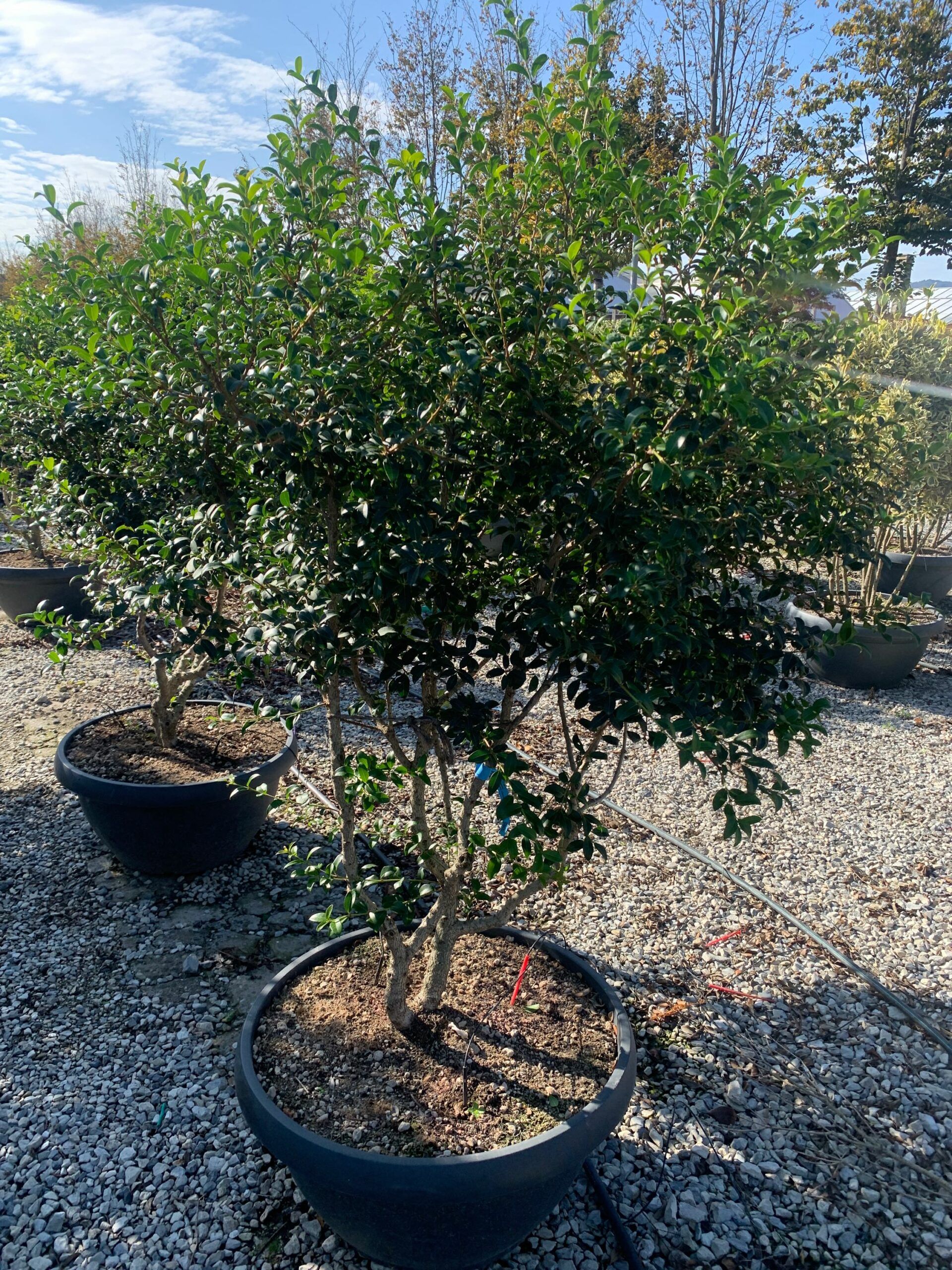 1635326940 scaled 680e40e7