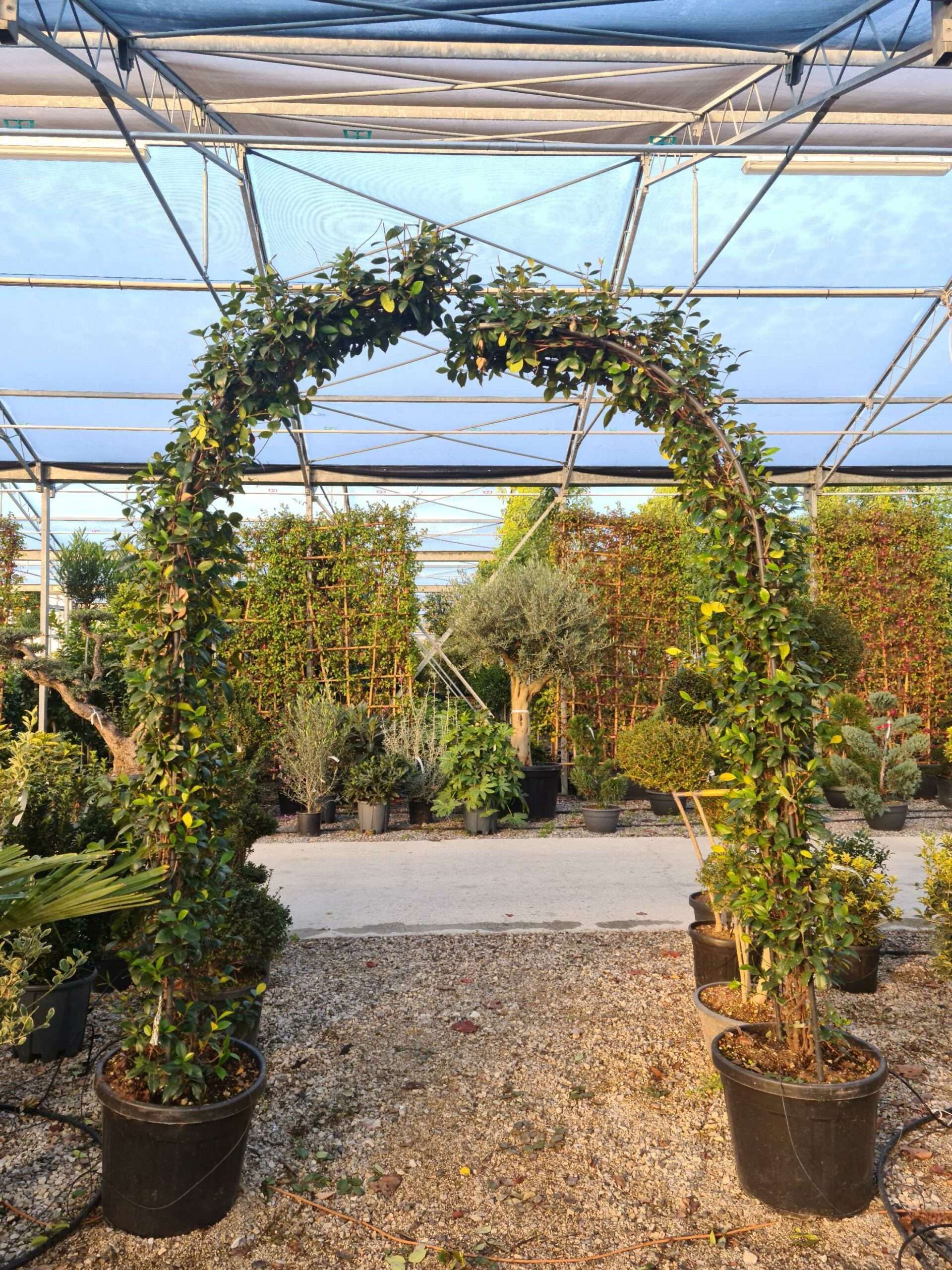 1639468695 scaled 6895a296