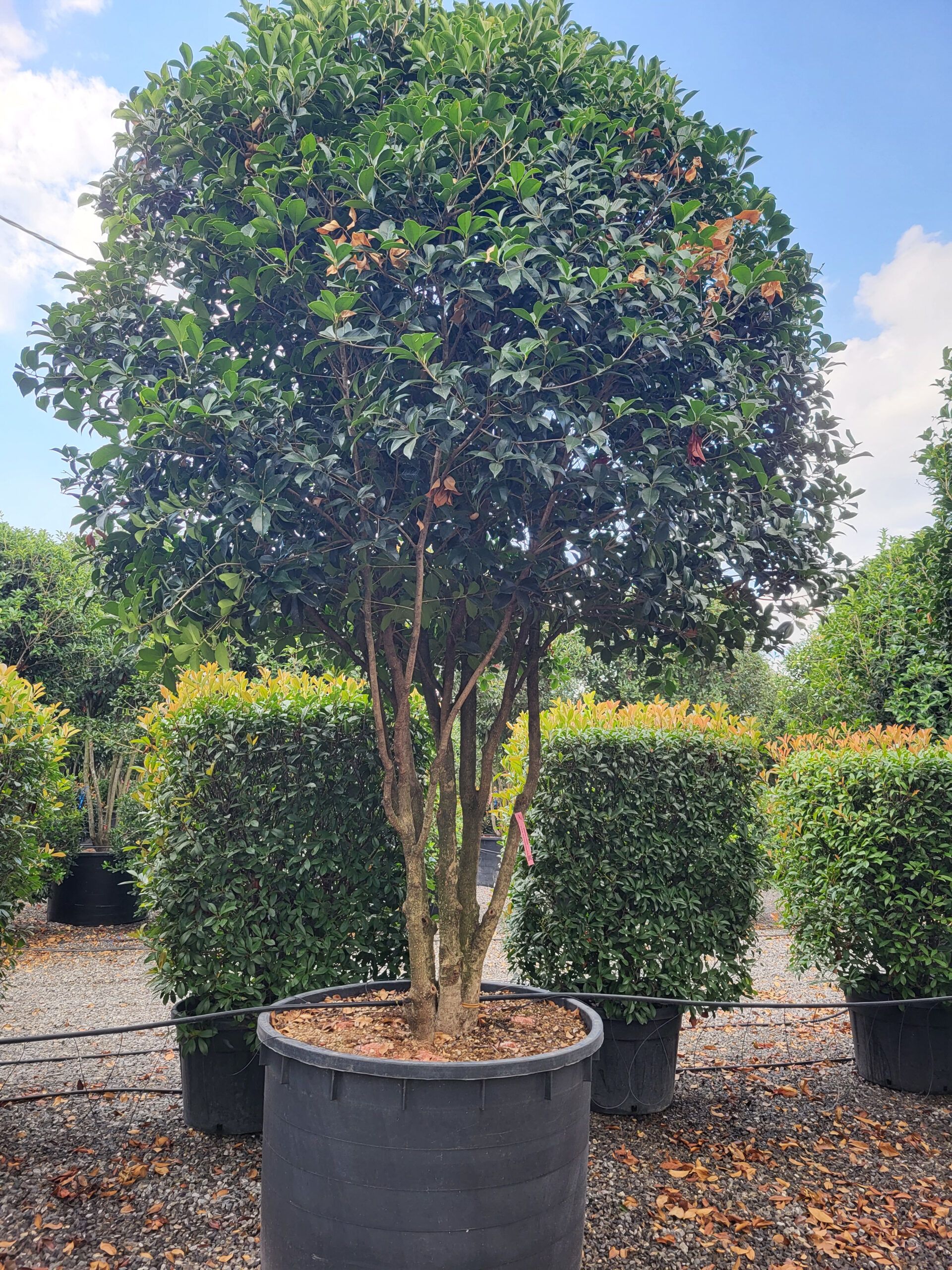 1694788835 1 scaled 68ef4ab3