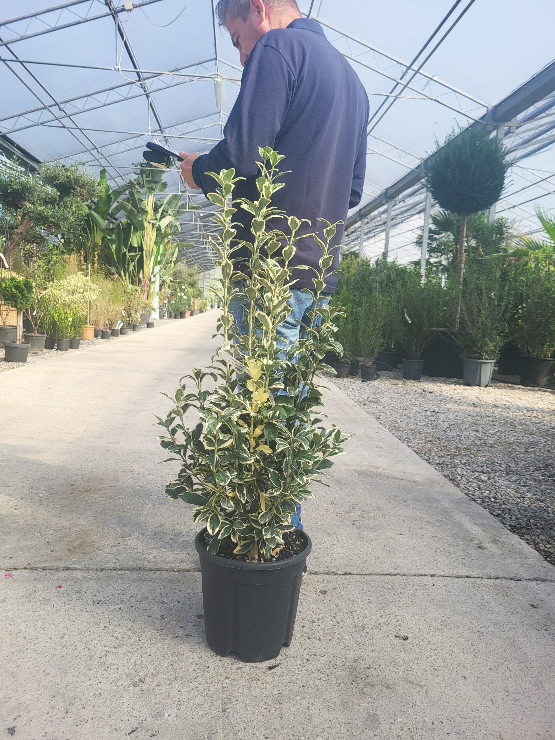 1696327222 scaled 683aa952