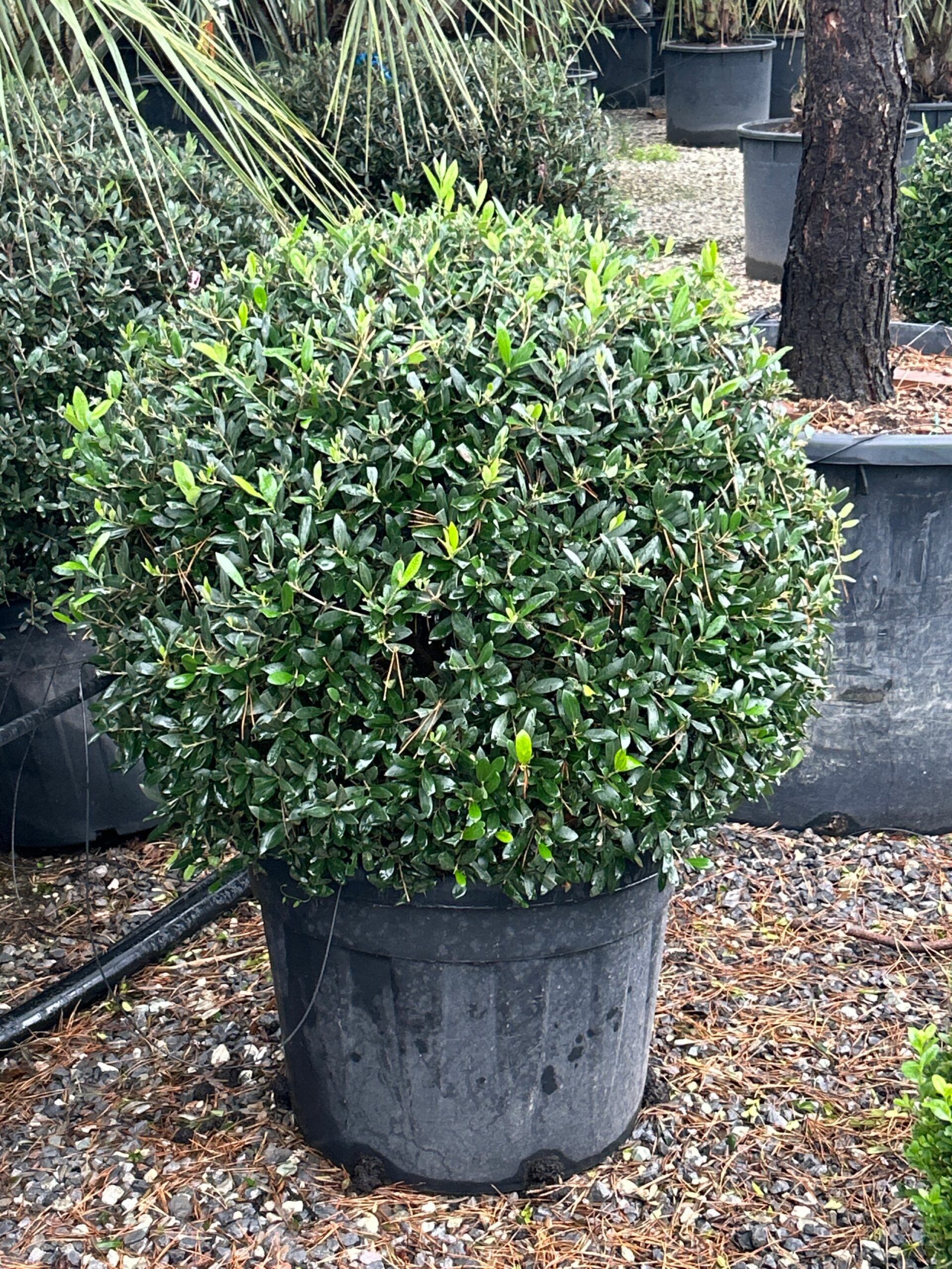 1698158689 scaled 680e34f3