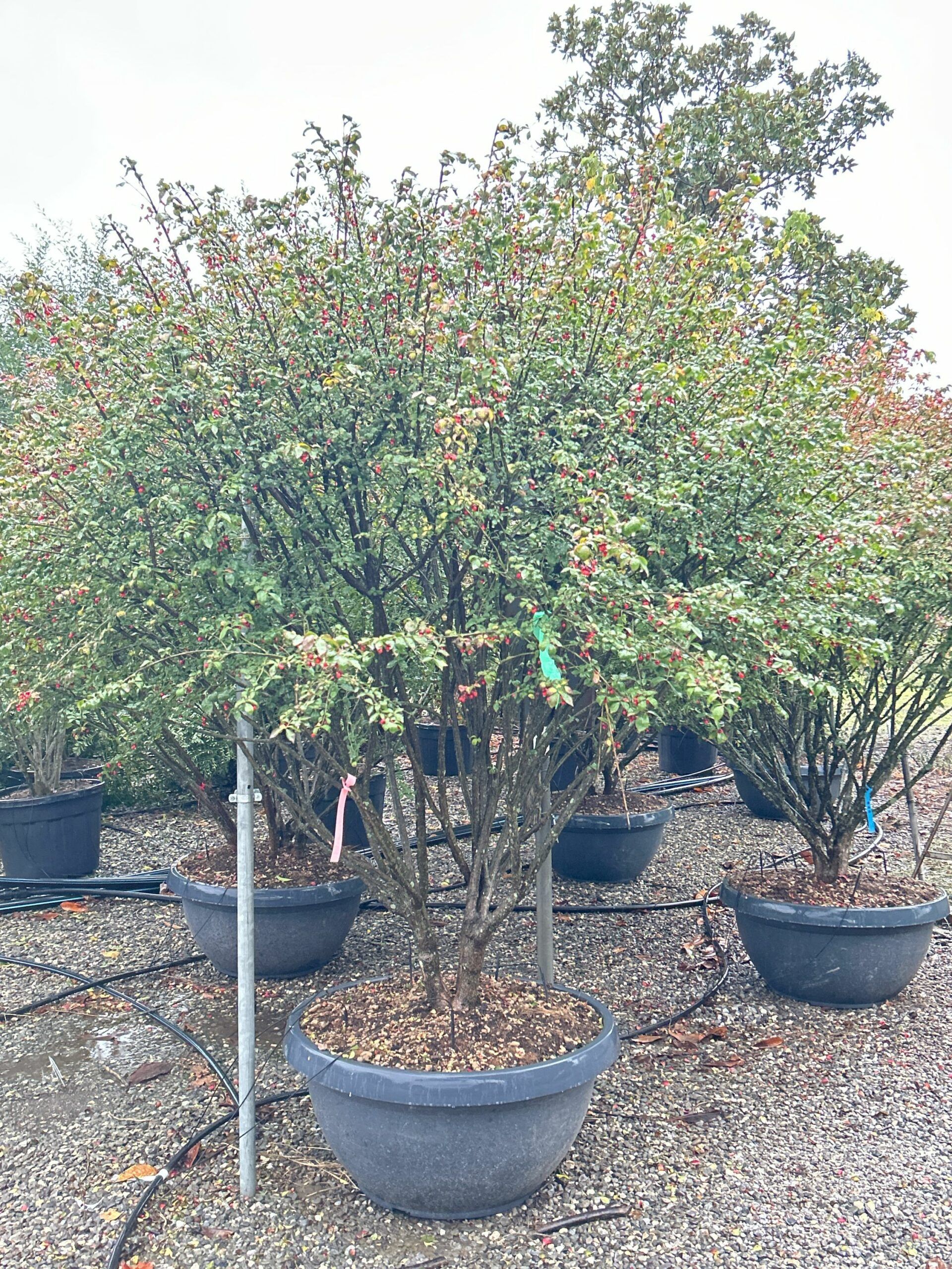 1698162045 scaled 680d356d